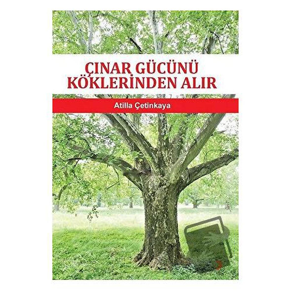 Çınar Gücünü Köklerinden Alır