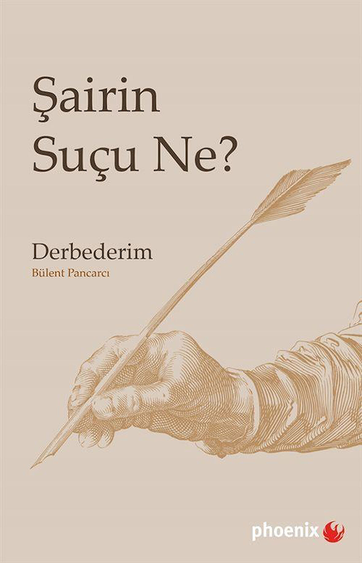 Şairin Suçu Ne? / Bülent Pancarcı