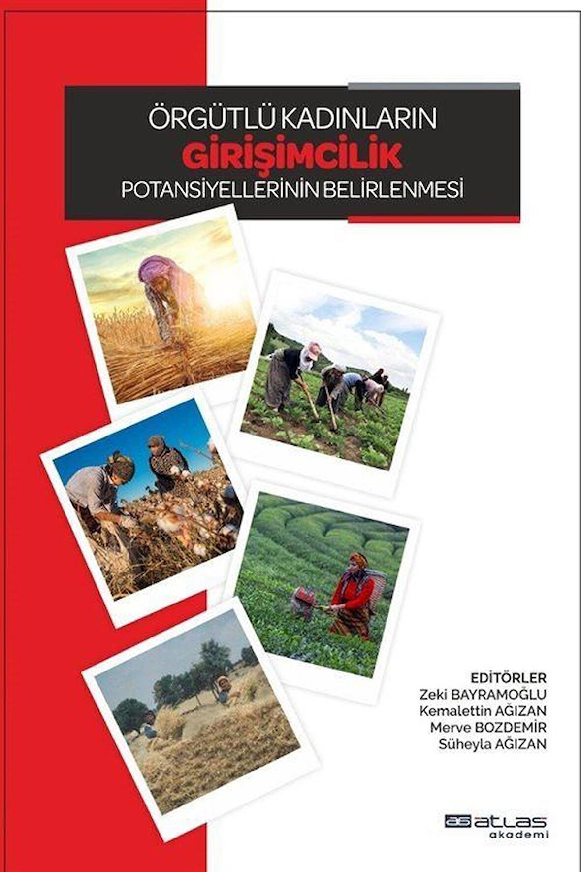 Örgütlü Kadınların Girişimcilik Potansiyellerinin Belirlenmesi / Kolektif