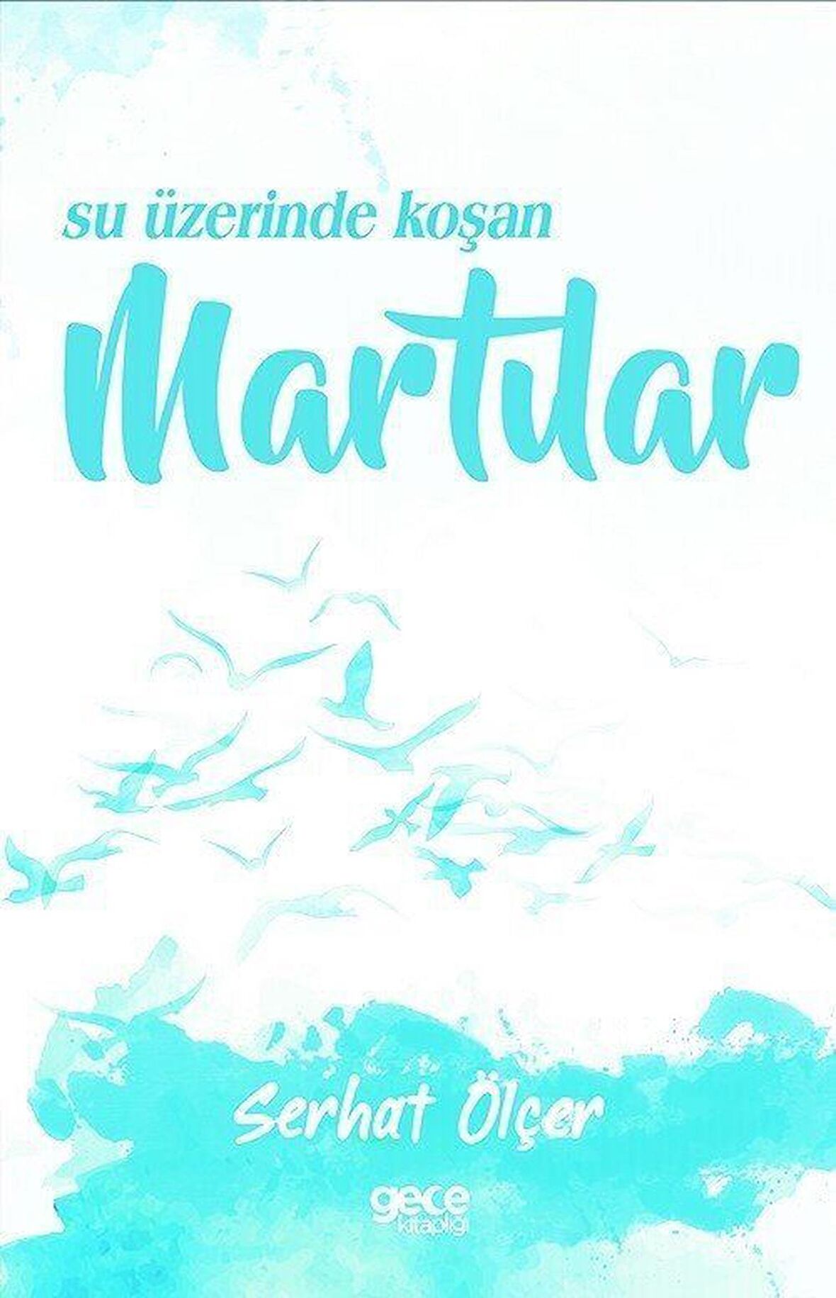 Su Üzerinde Koşan Martılar