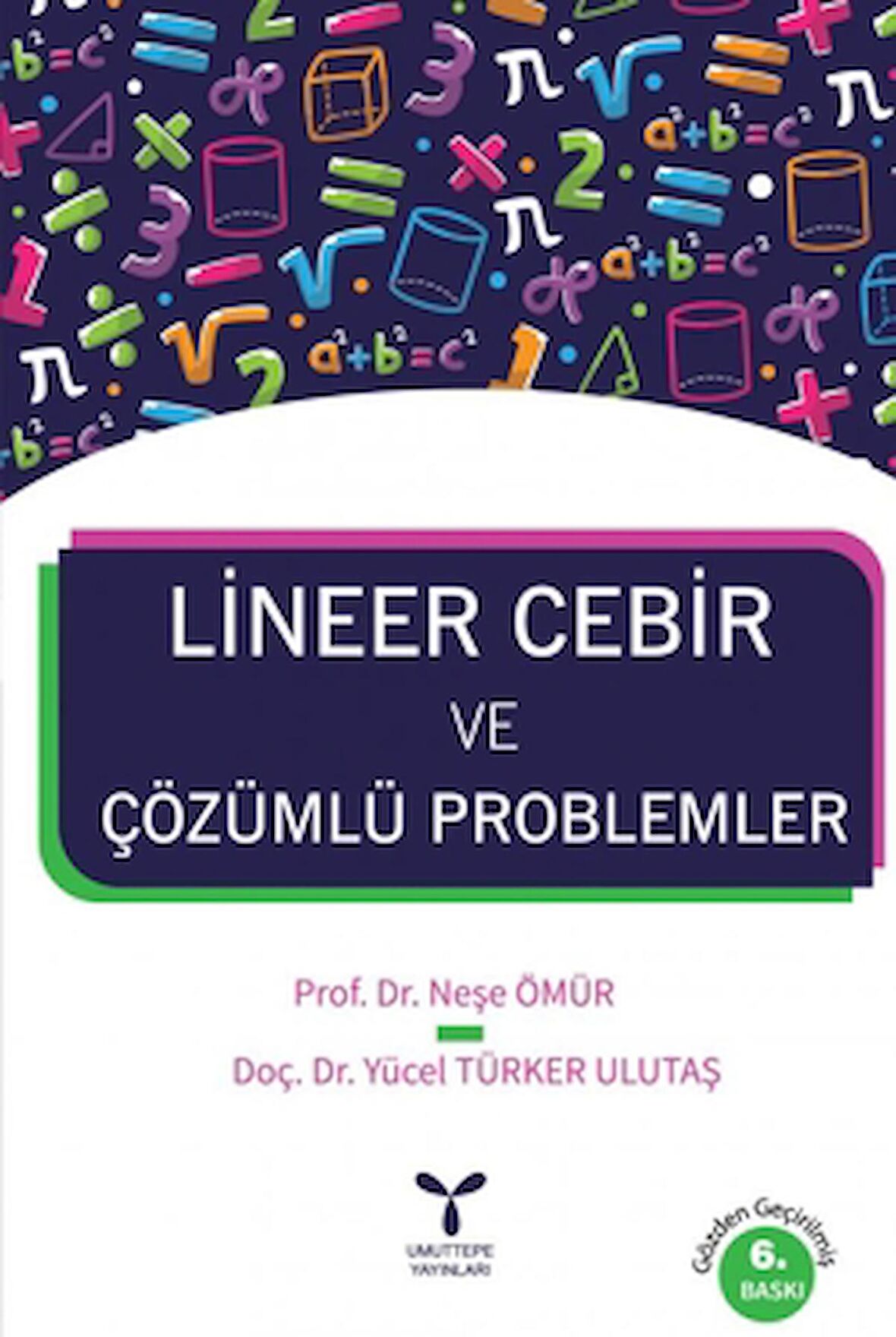 Lineer Cebir ve Çözümlü Problemler