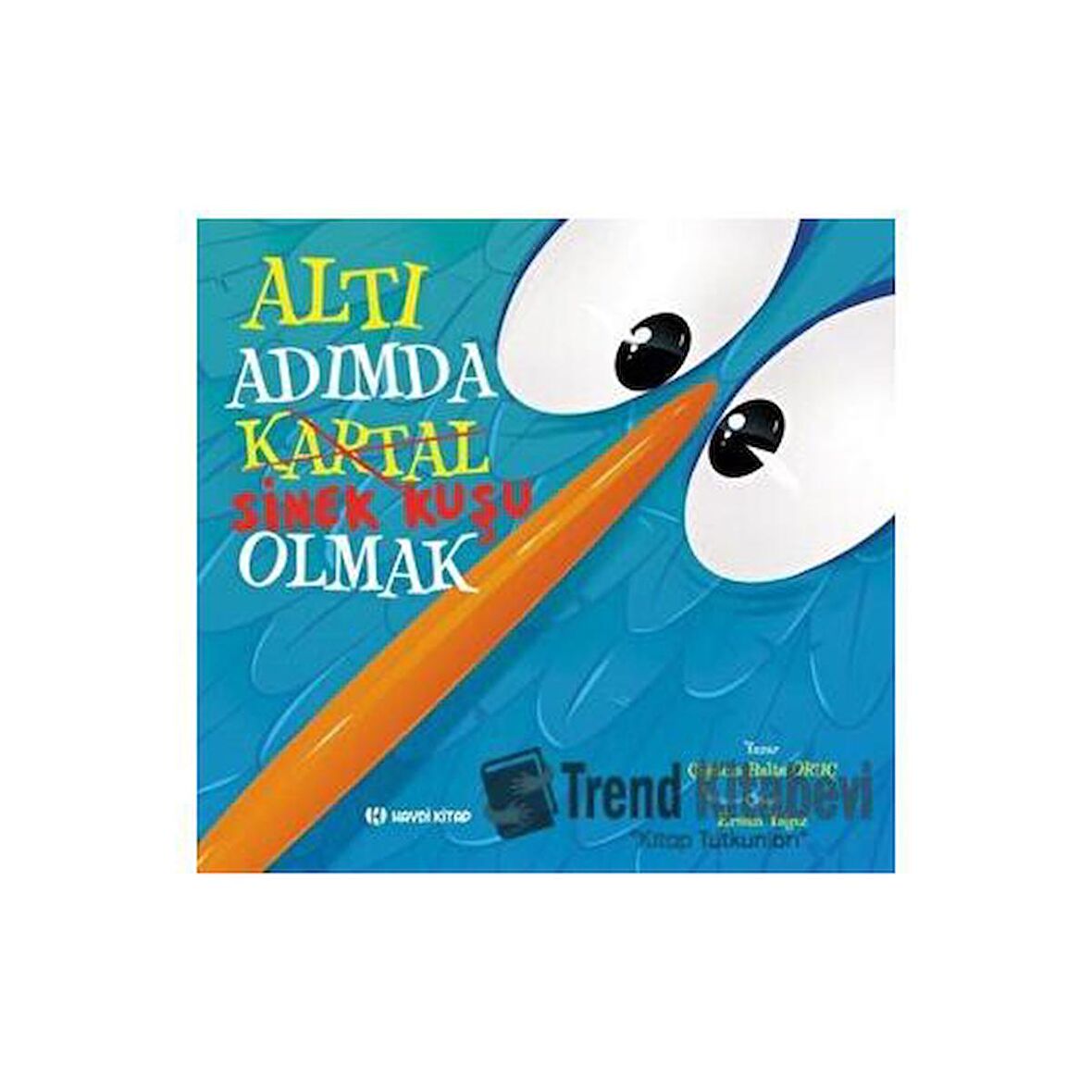 Altı Adımda Sinek Kuşu Olmak