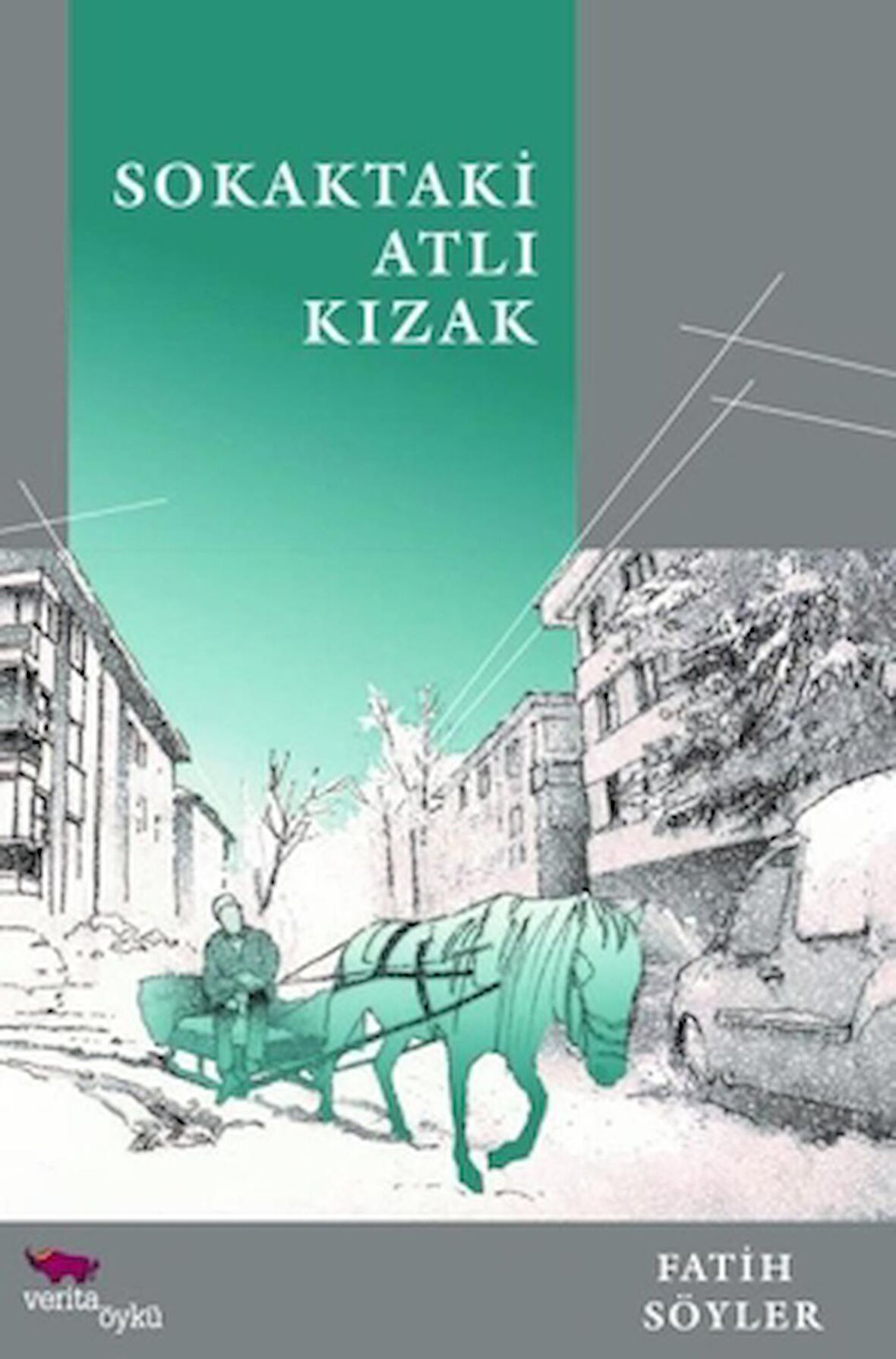 Sokaktaki Atlı Kızak