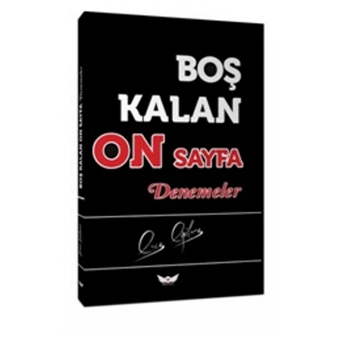 Boş Kalan On Sayfa - Denemeler