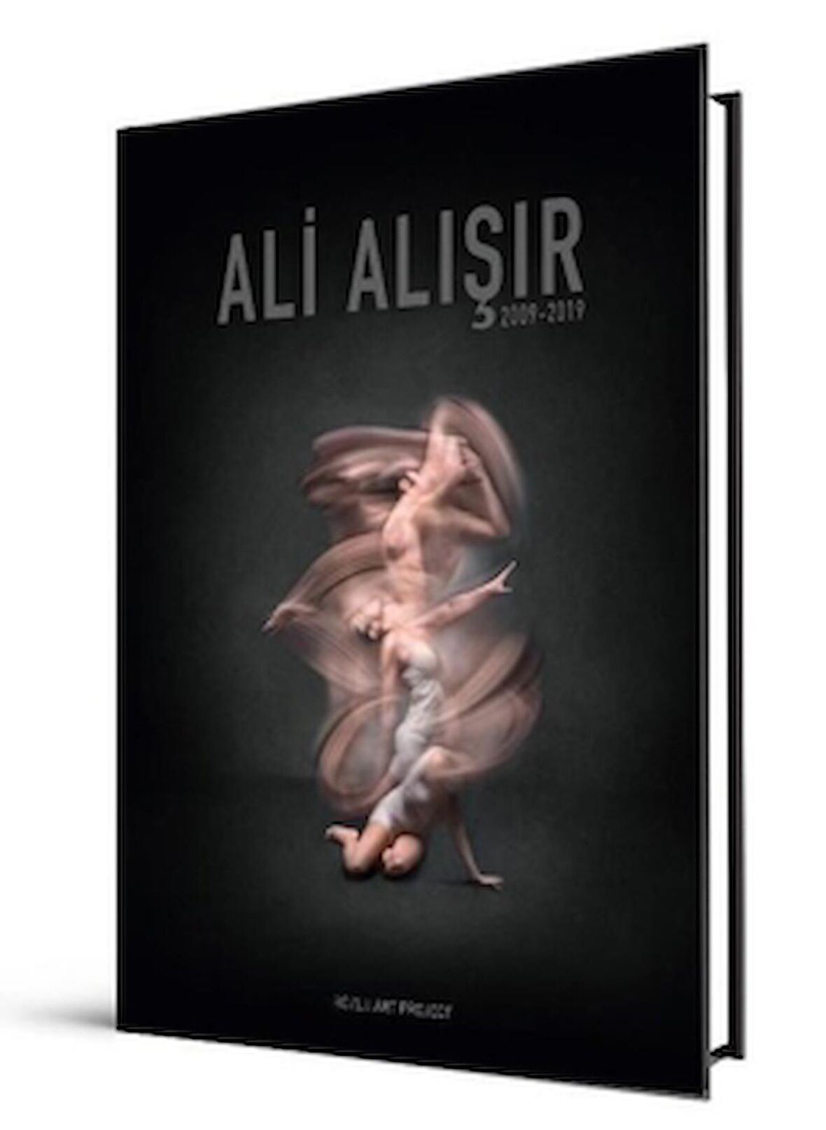 Ali Alışır 2009 - 2019