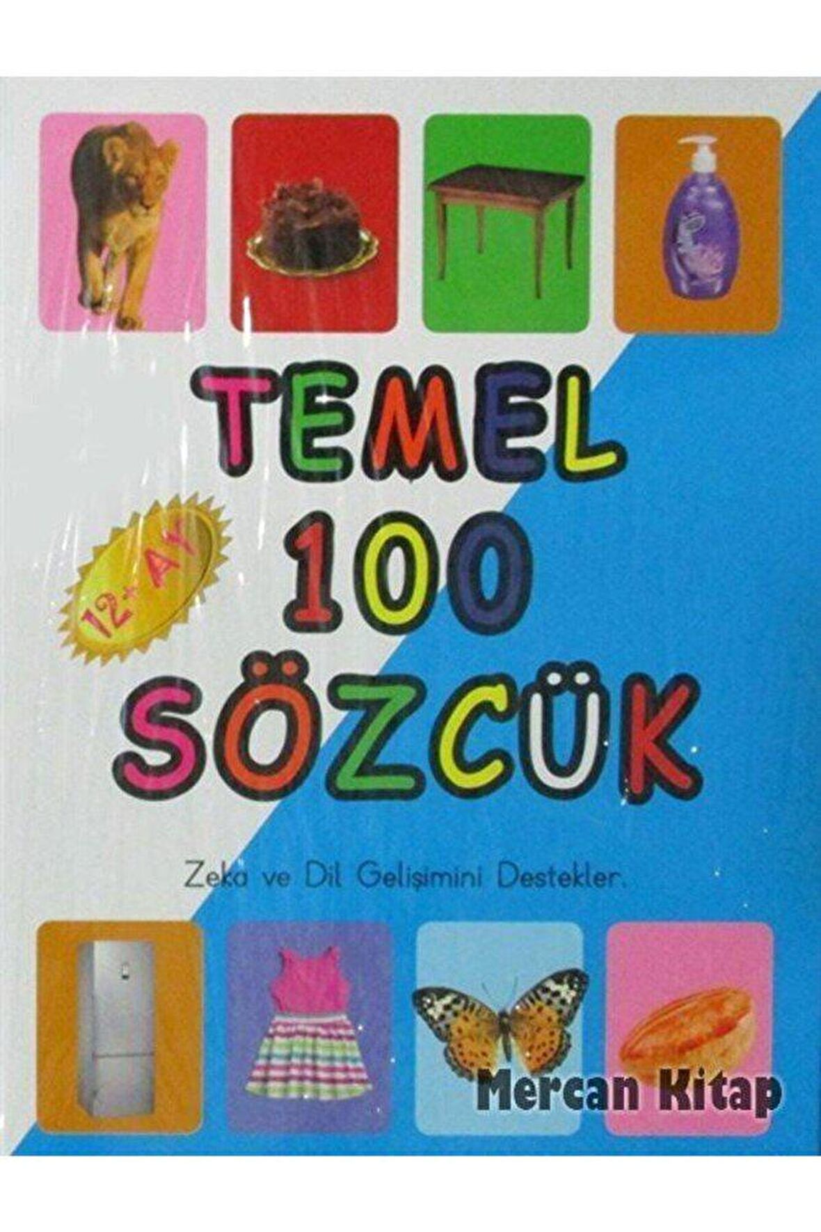 Temel 100 Sözcük