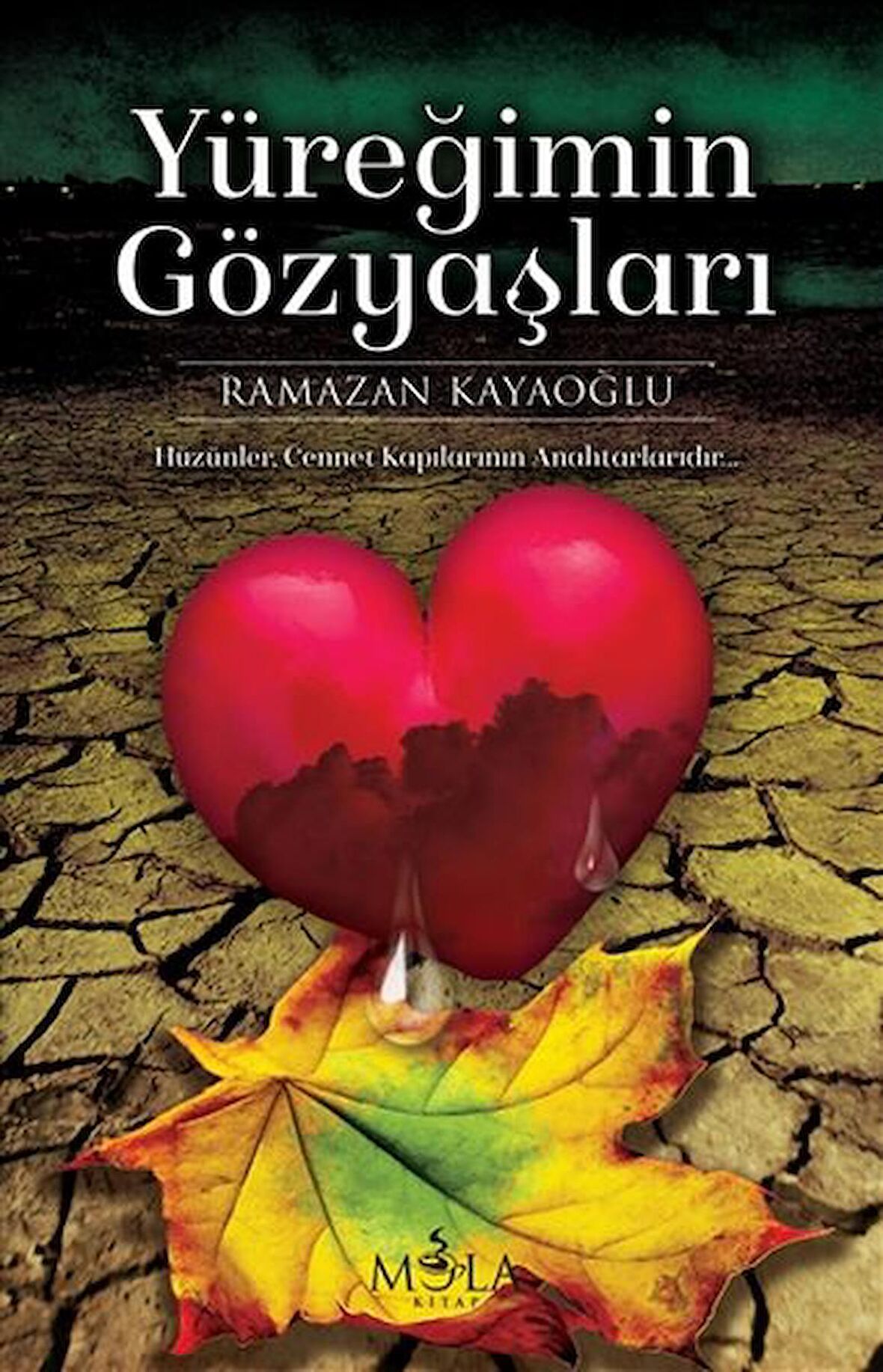 Yüreğimin Gözyaşları