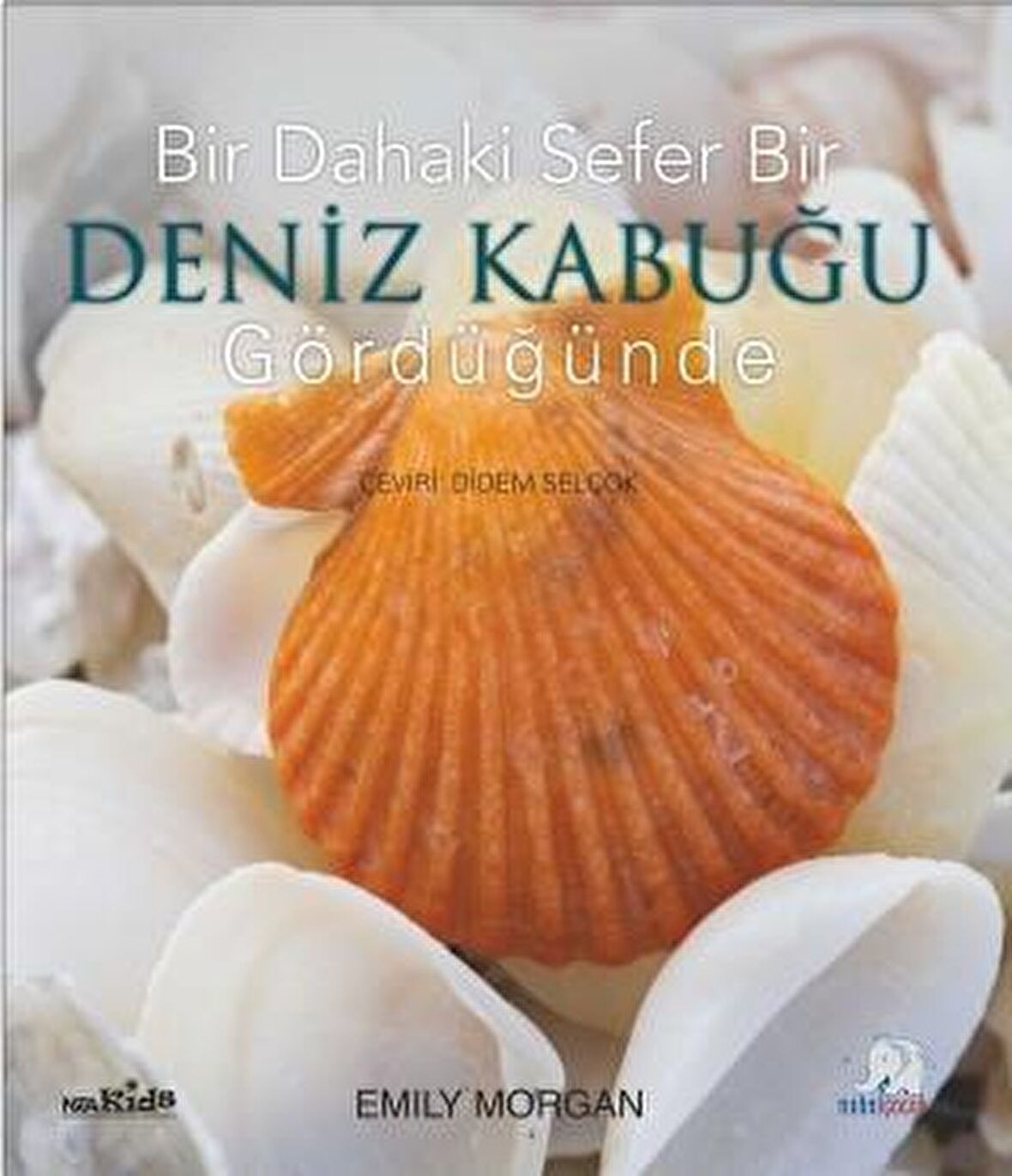 Bir Dahaki Sefer Bir Deniz Kabuğu Gördüğünde