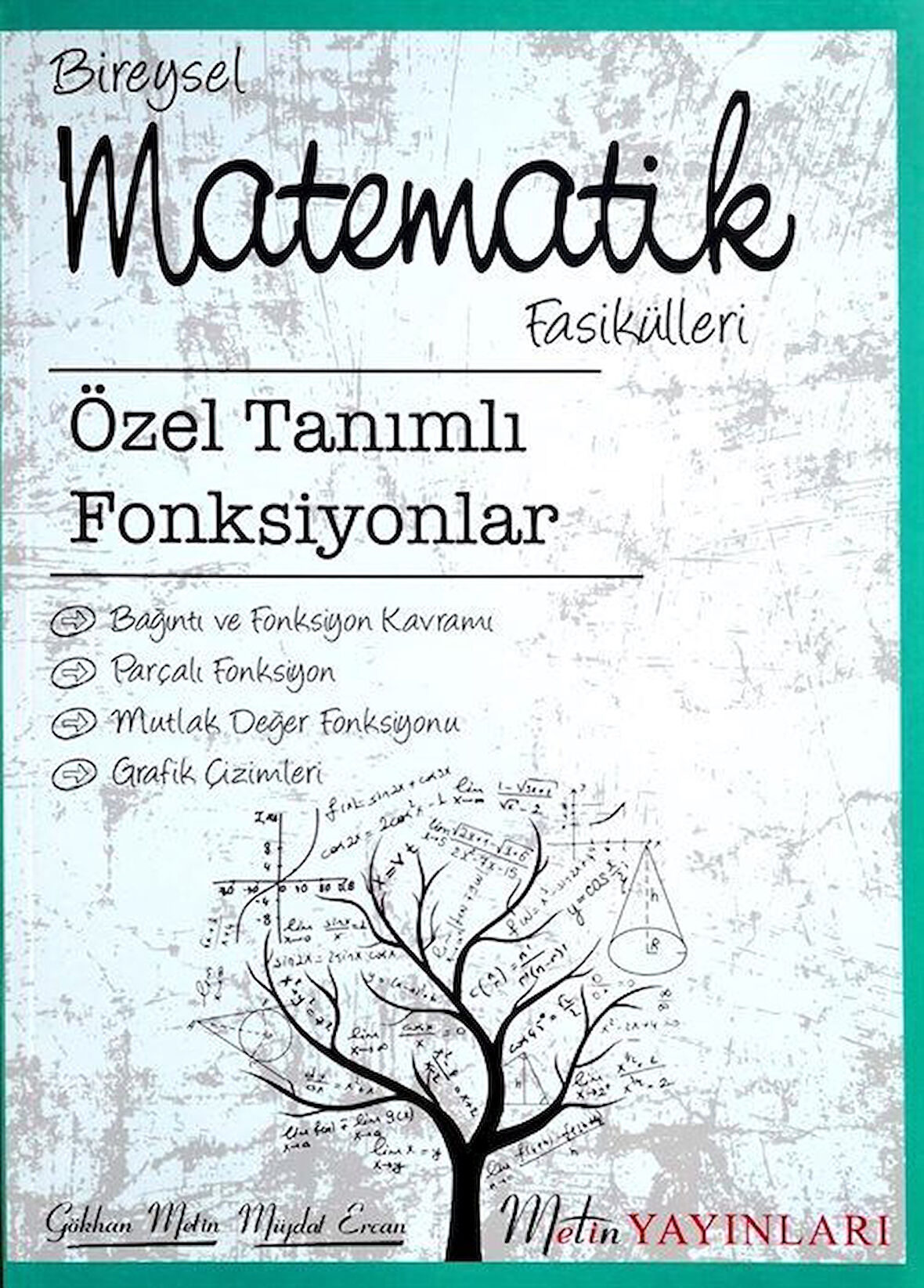 Bireysel Matematik Fasikülleri Özel Tanımlı Fonksiyonlar / Gökhan Metin