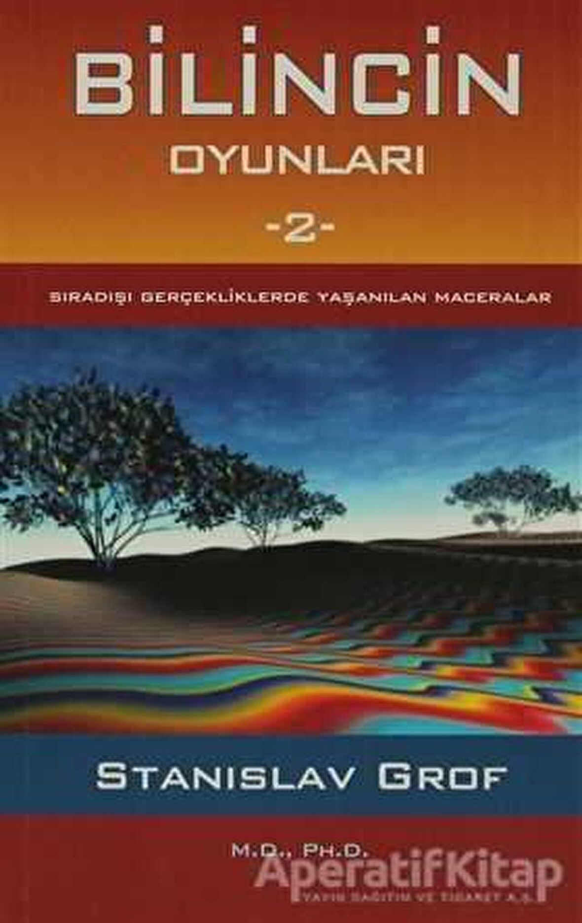 Bilincin Oyunları 2
