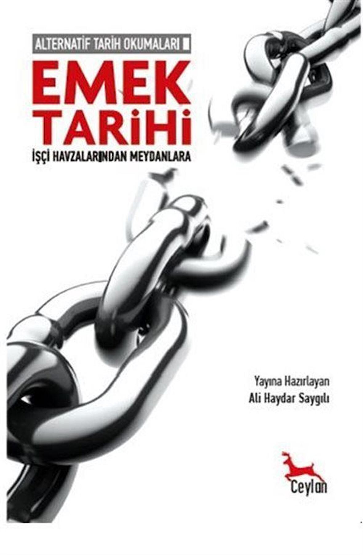 Alternatif Tarih Okumaları 2 - Emek Tarihi