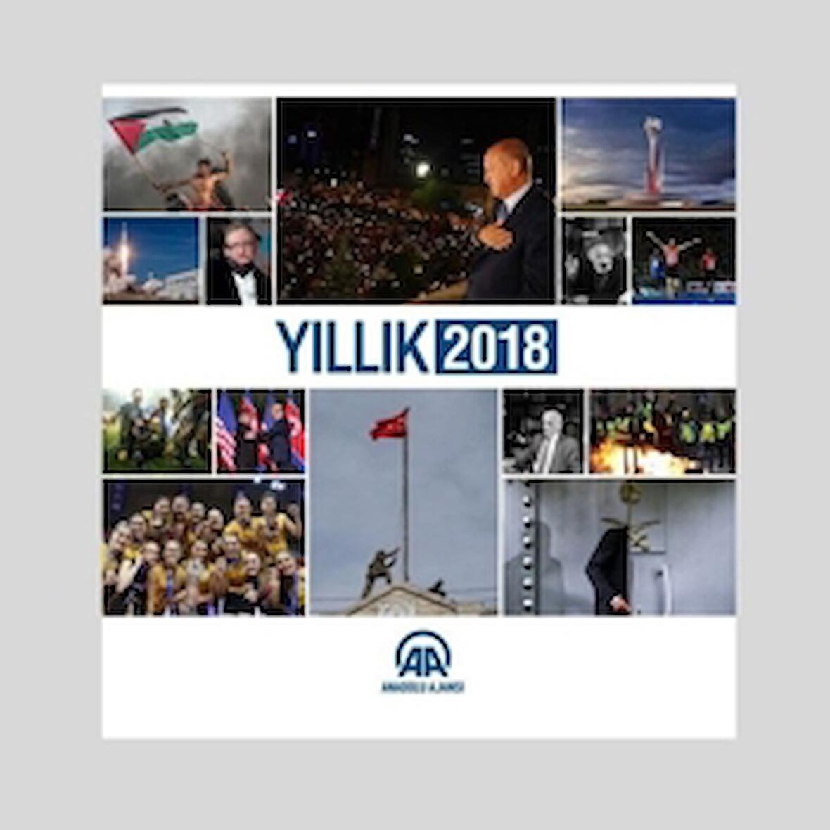 Yıllık 2018