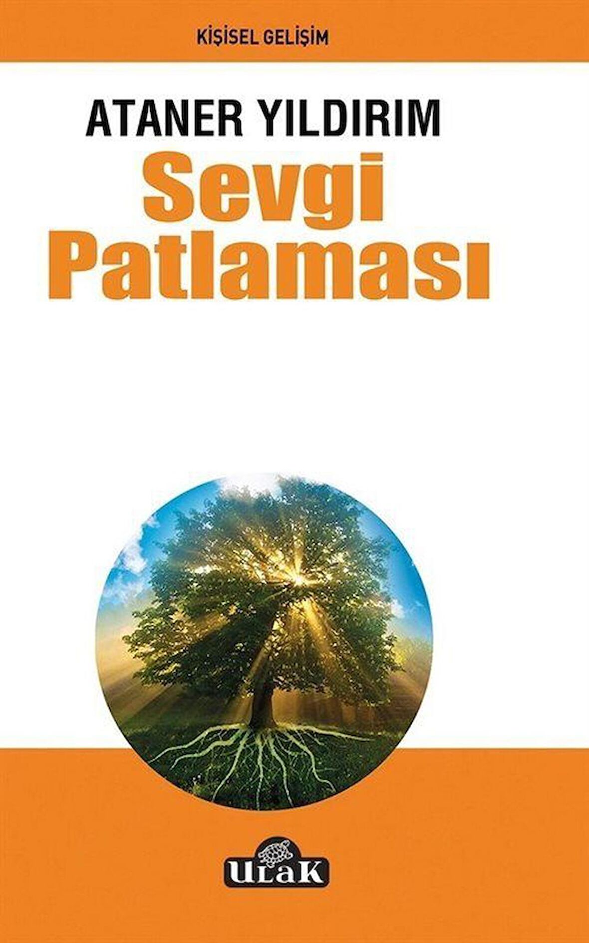 Sevgi Patlaması