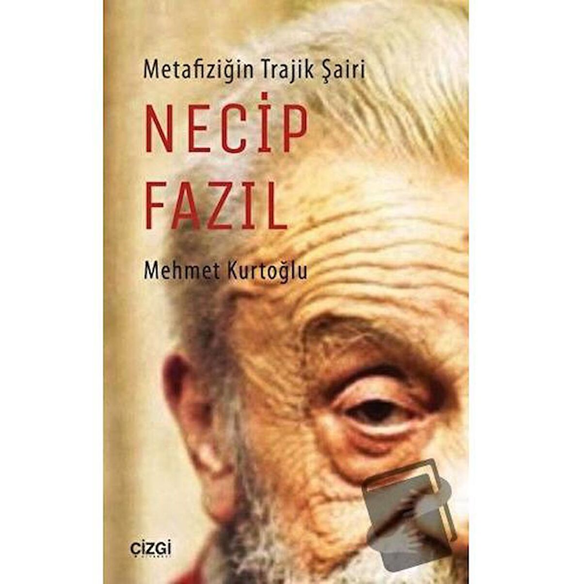 Metafiziğin Trajik Şairi Necip Fazıl