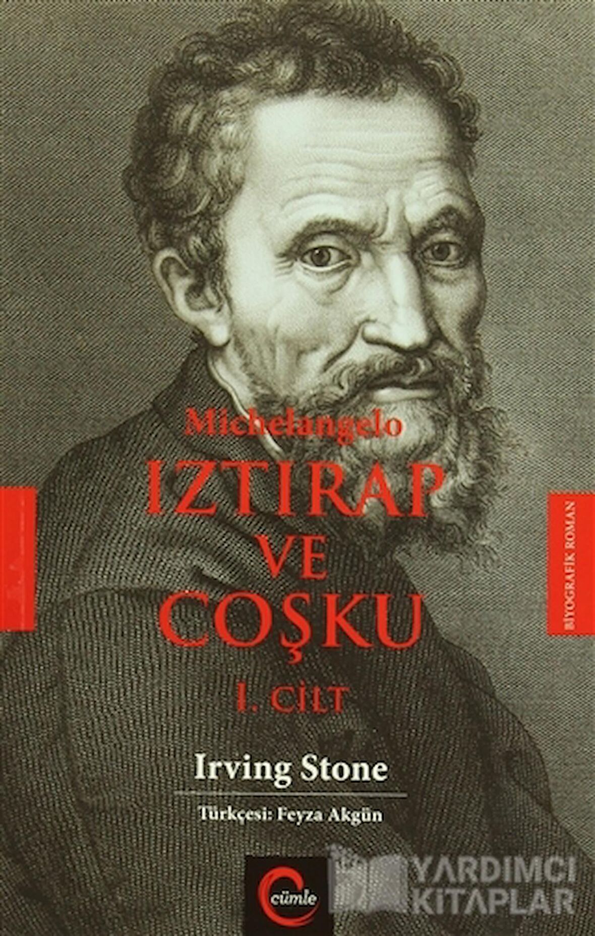 Michelangelo Iztırap ve Coşku (1.Cilt)