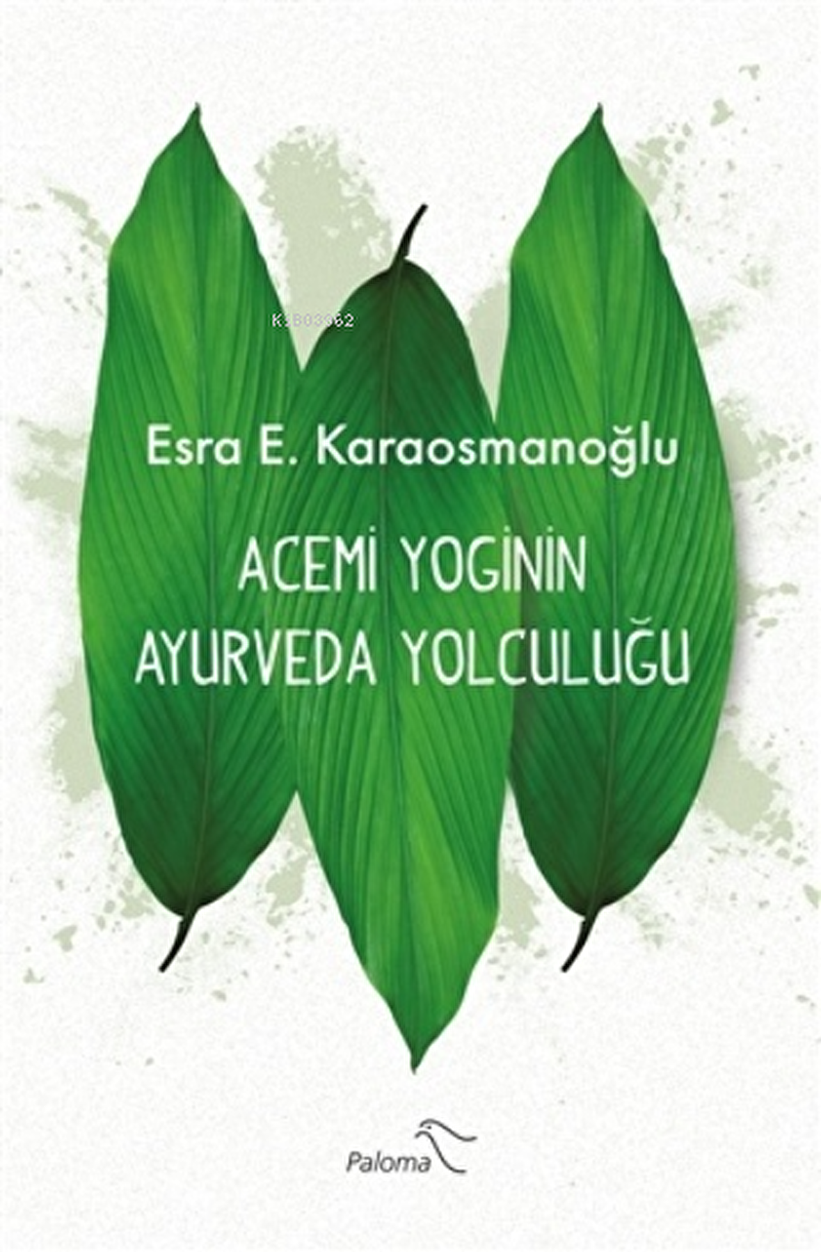 Acemi Yoginin Ayurveda Yolculuğu