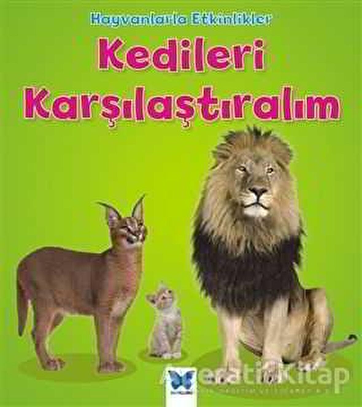 Hayvanlarla Etkinlikler - Kedileri Karşılaştıralım