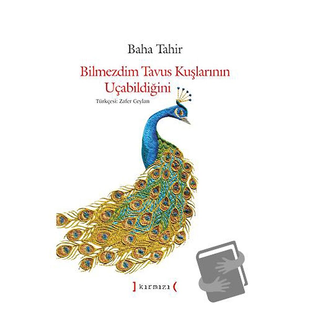 Bilmezdim Tavus Kuşlarının Uçabildiğini