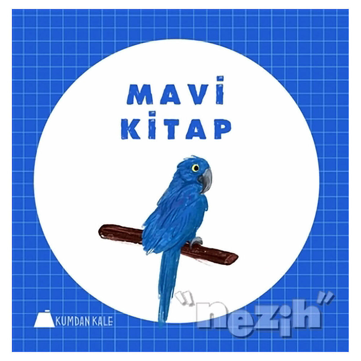 Mavi Kitap