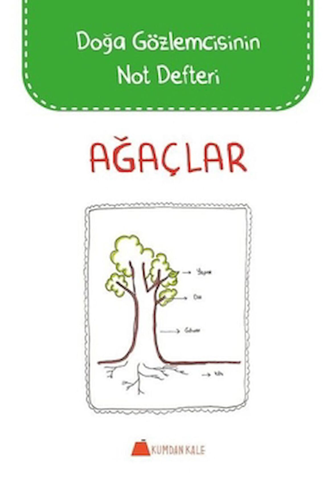 Ağaçlar - Doğa Gözlemcisinin Not Defteri