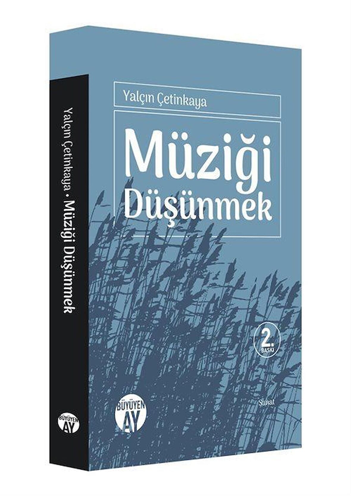 Müziği Düşünmek