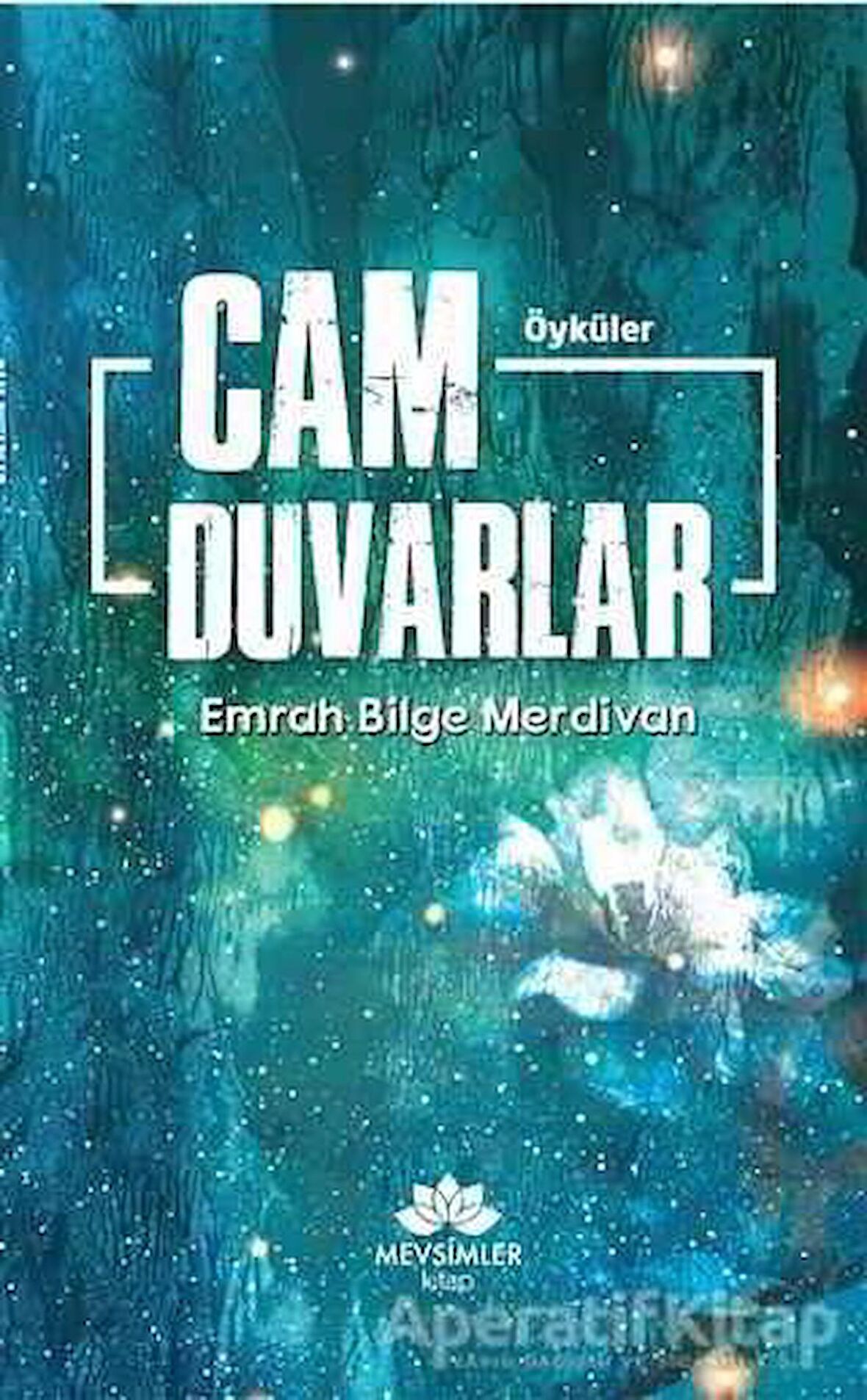 Cam Duvarlar