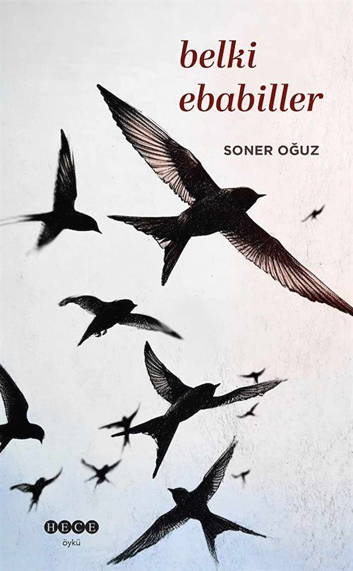Belki Ebabiller / Soner Oğuz