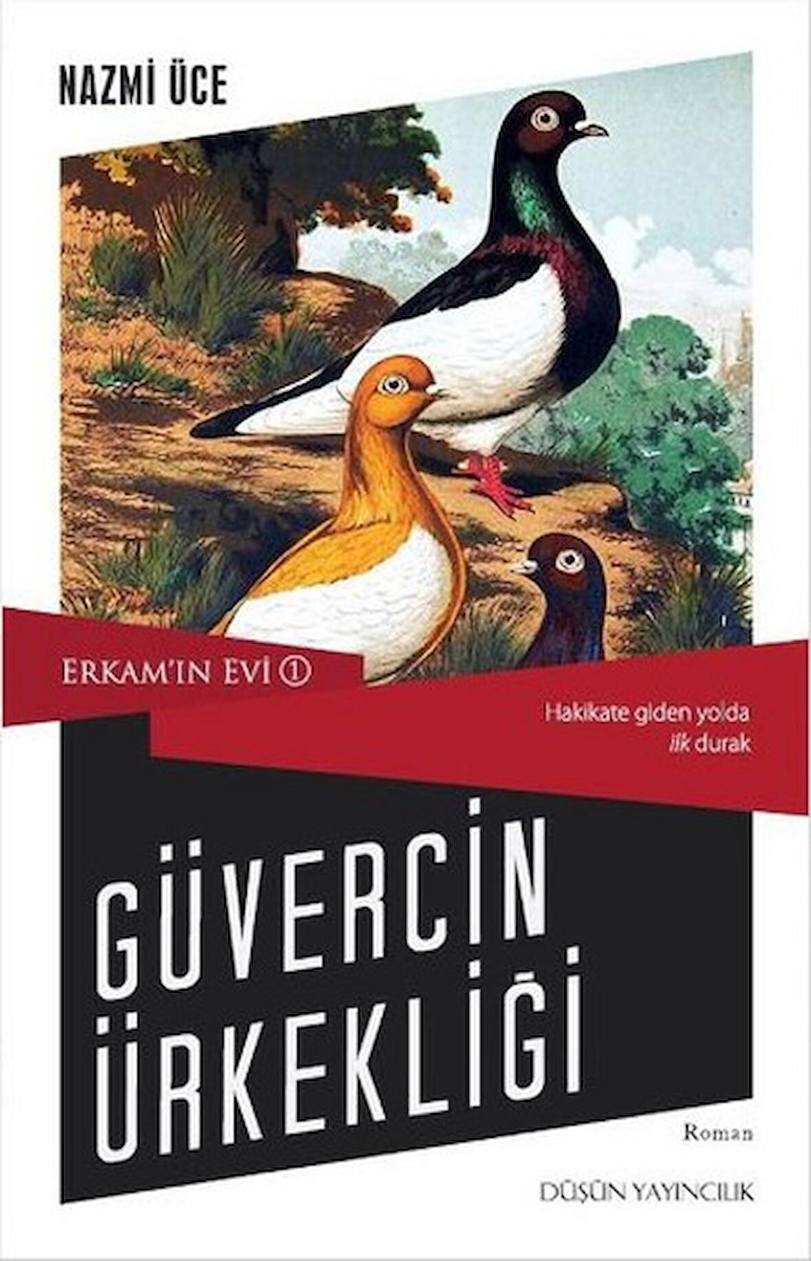 Erkam’ın Evi 1 - Güvercin Ürkekliği