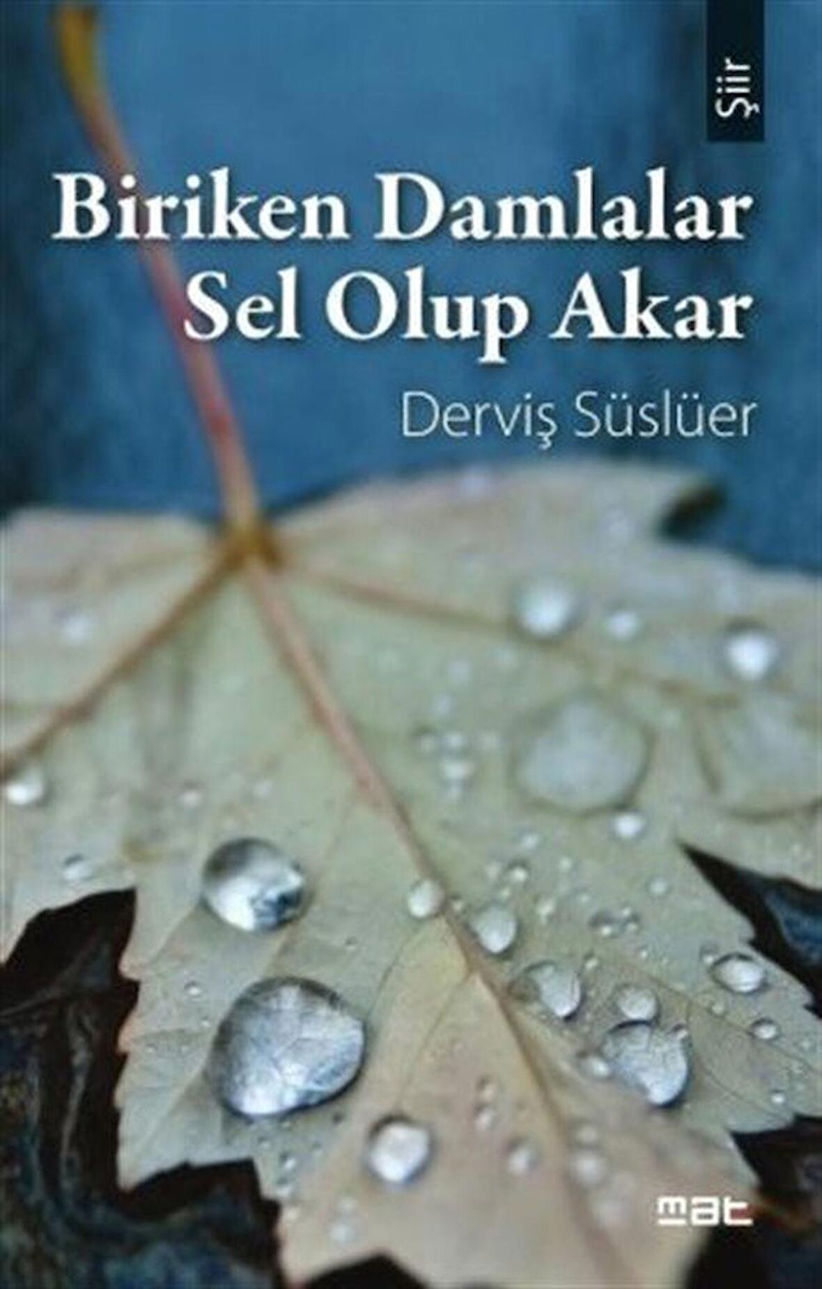 Biriken Damlalar Sel Olup Akar