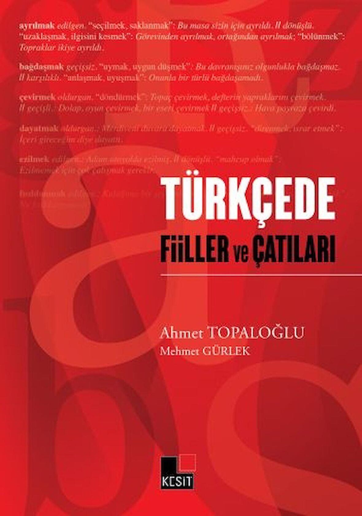 Türkçede Fiiller ve Çatıları