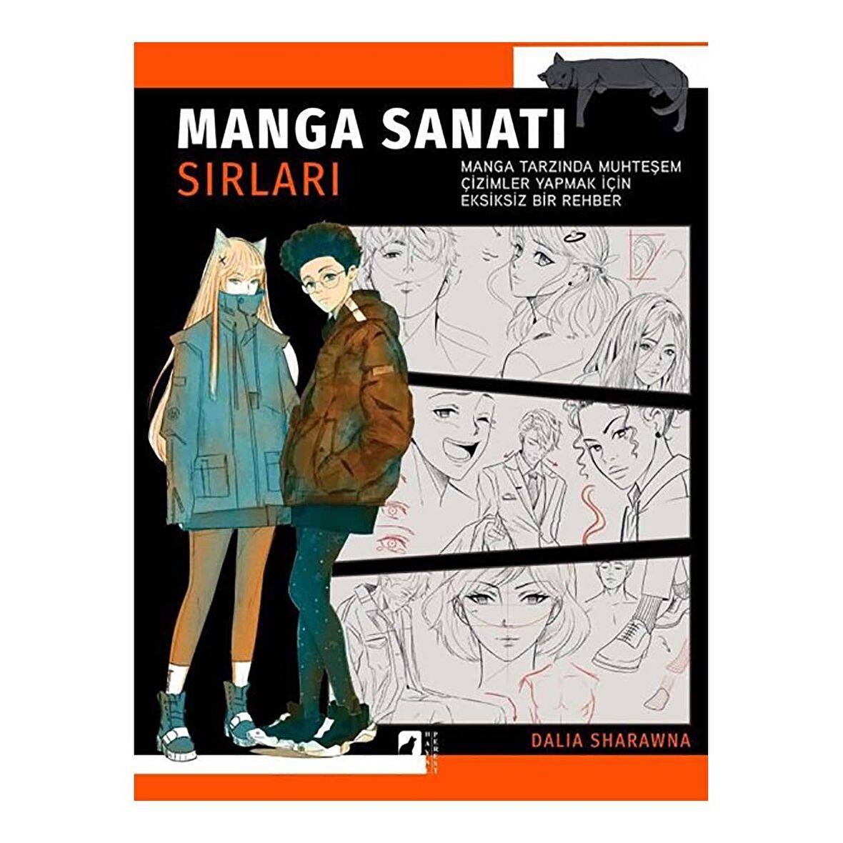 Manga Sanatı Sırları