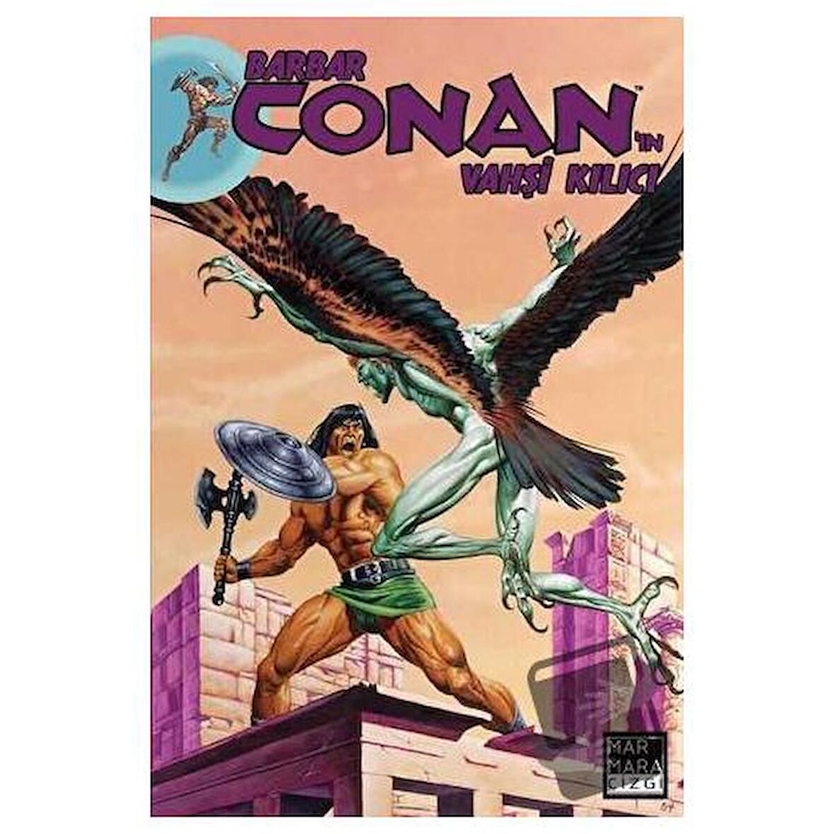 Barbar Conan'ın Vahşi Kılıcı Cilt: 20