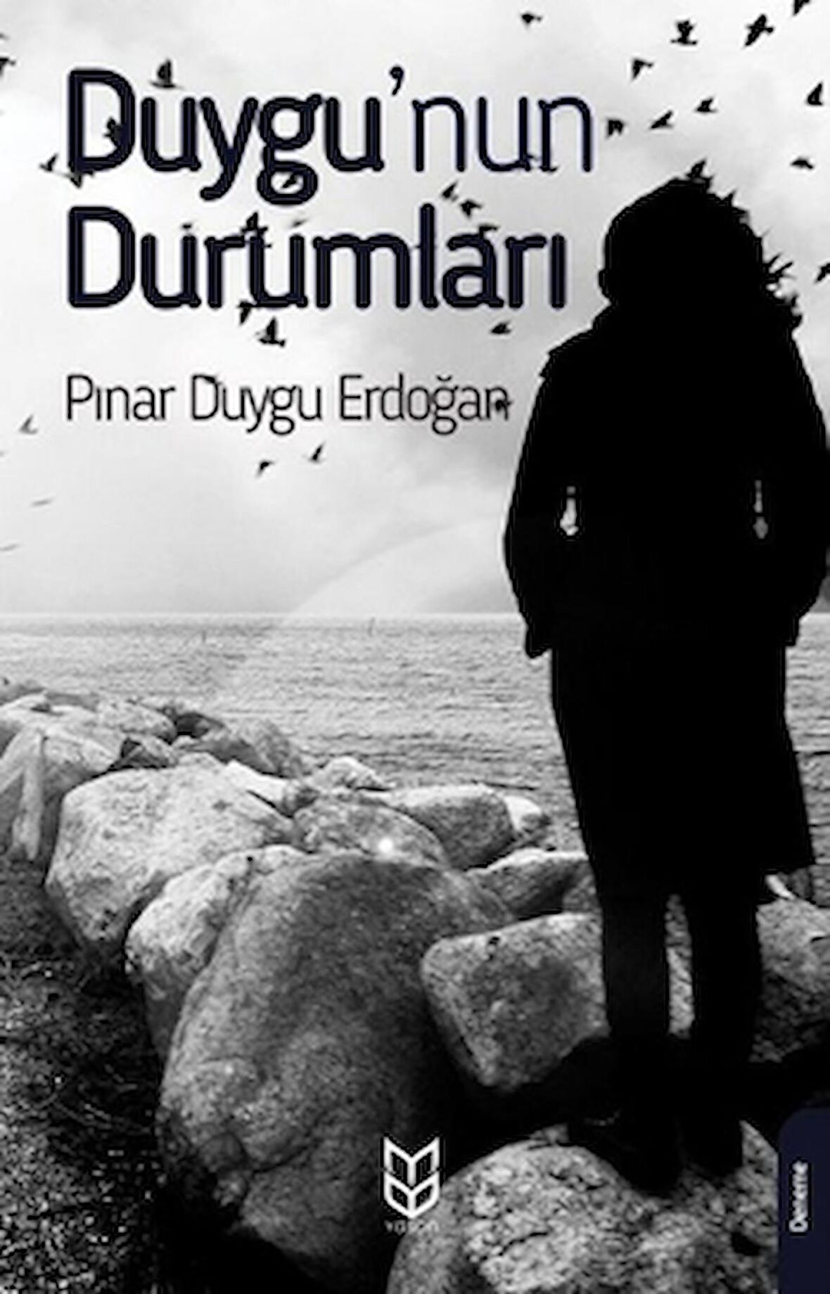 Duygu'nun Durumları