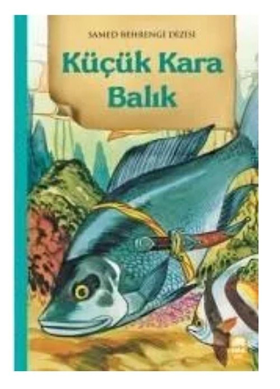 Küçük Kara Balık Ema Kitap
