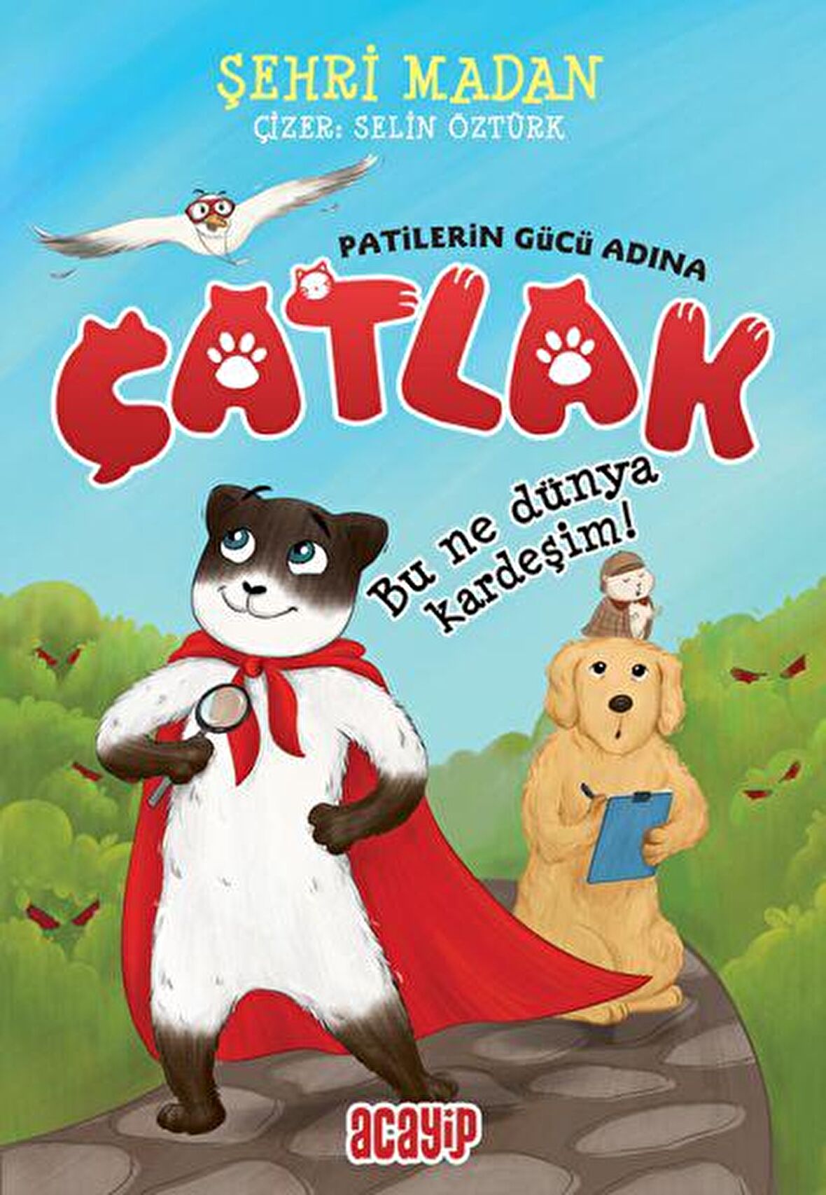 Bu Ne Dünya Kardeşim! - Çatlak