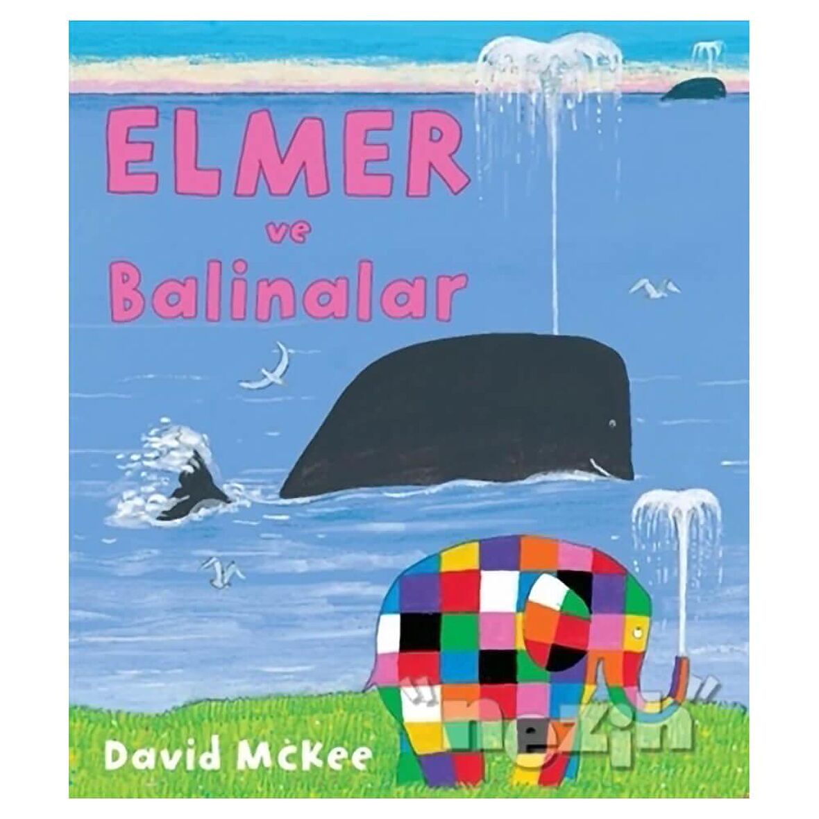 Elmer ve Balinalar