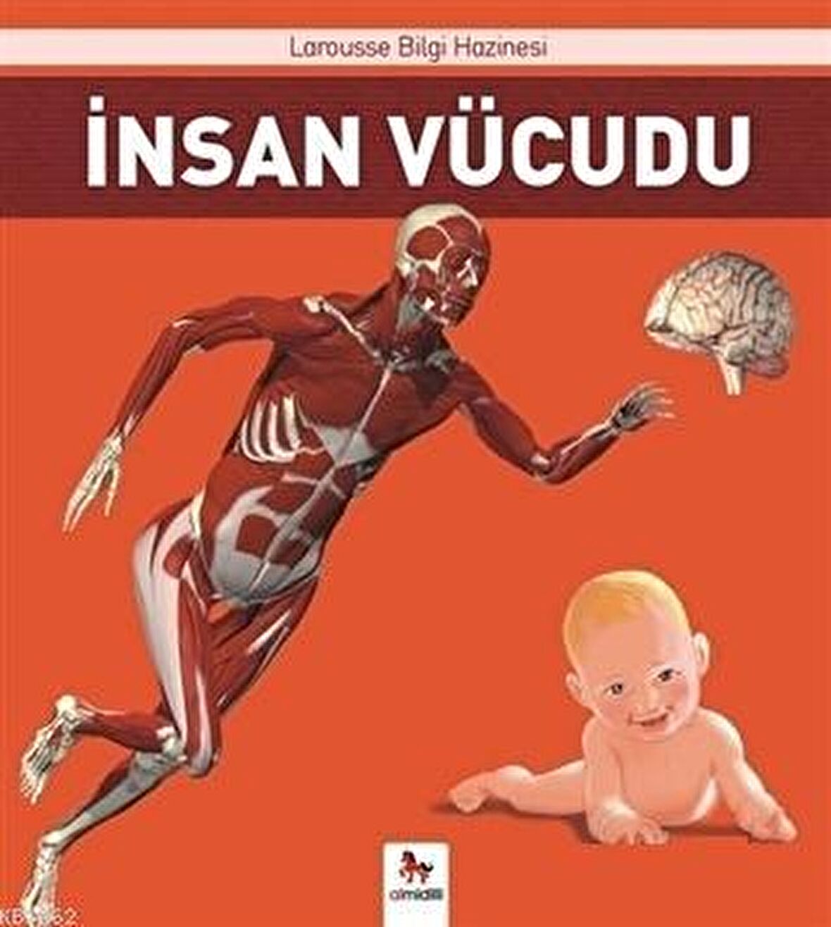 İnsan Vücudu