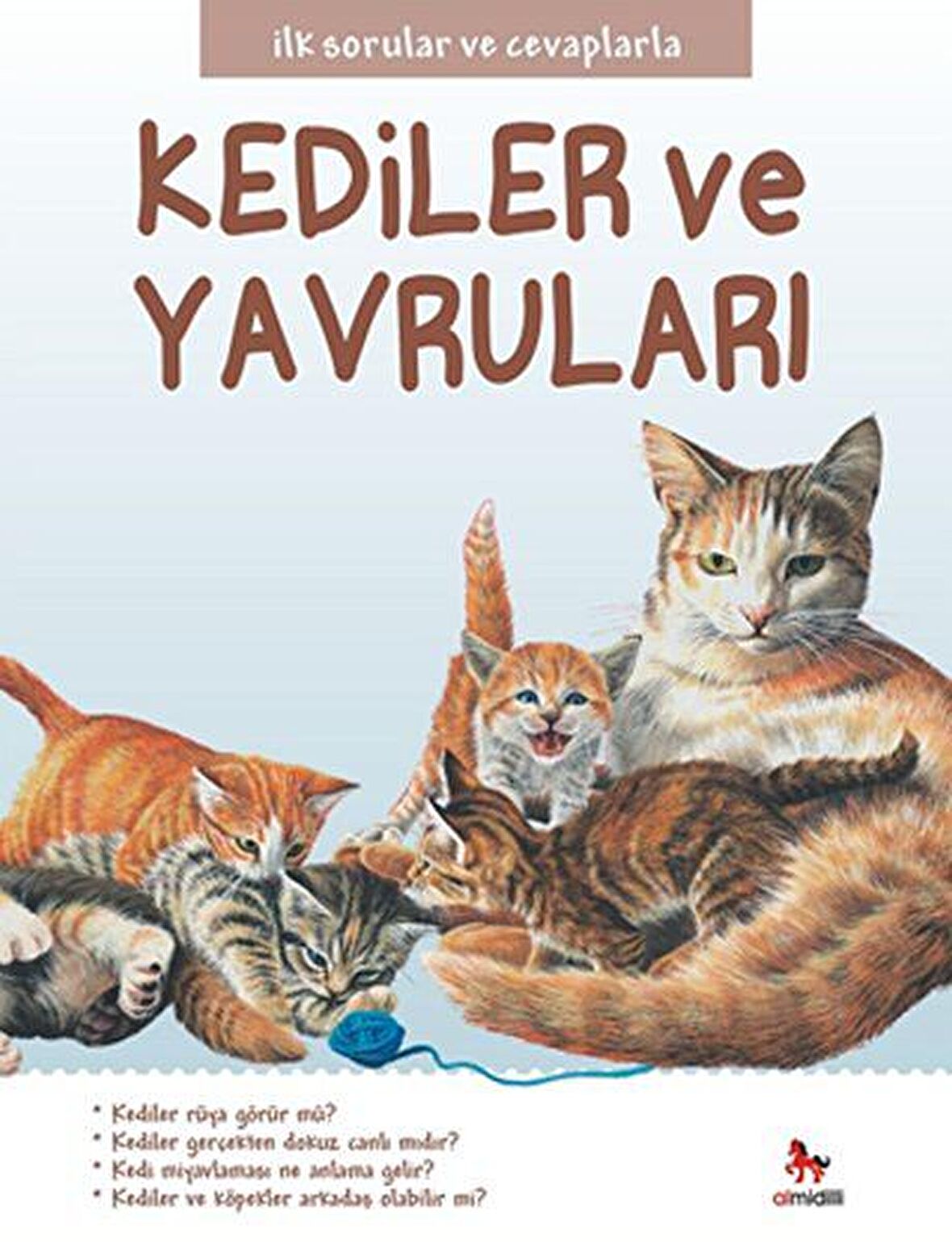 Kediler ve Yavruları - İlk Sorular ve Cevaplarla