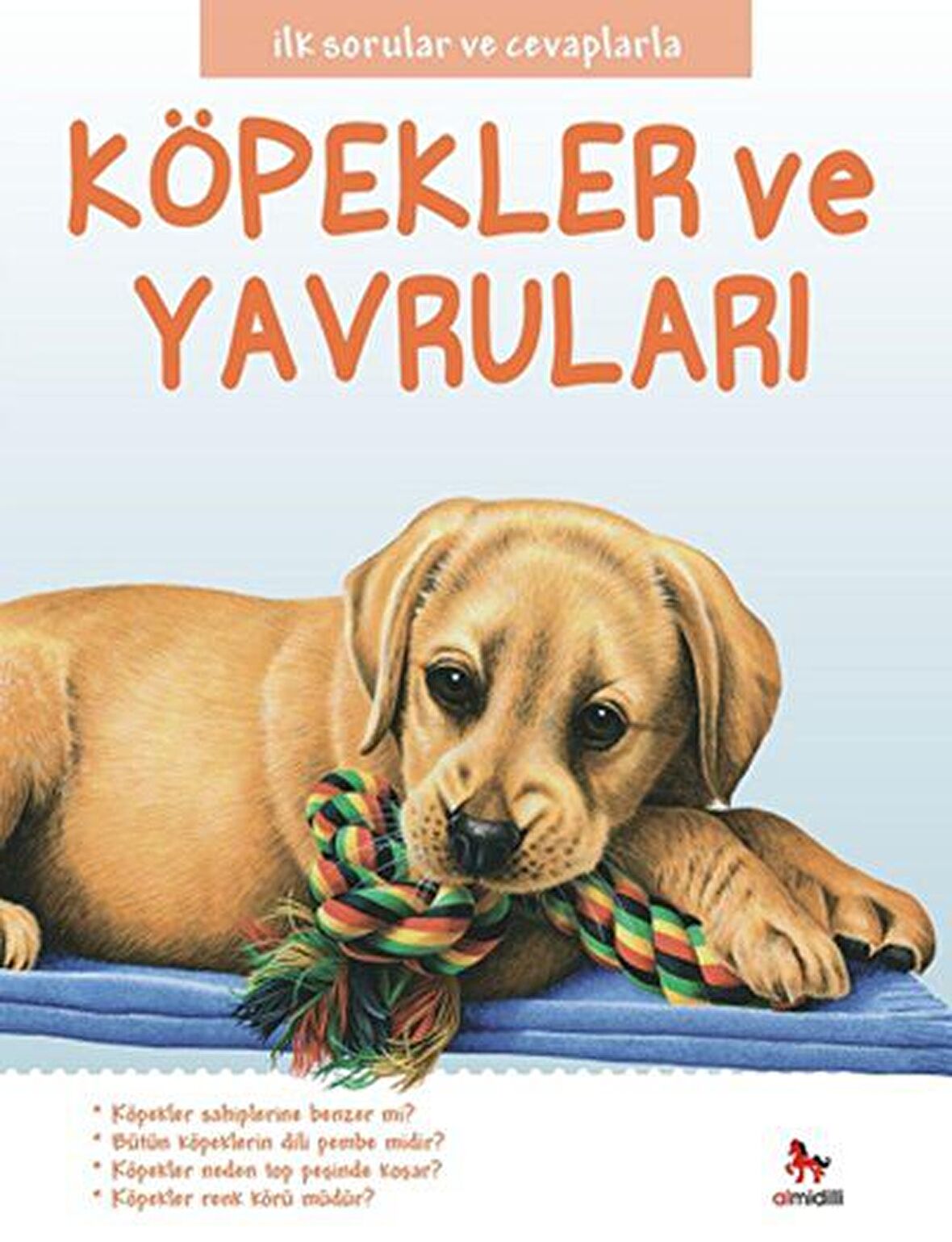 Köpekler ve Yavruları - İlk Sorular ve Cevaplarla