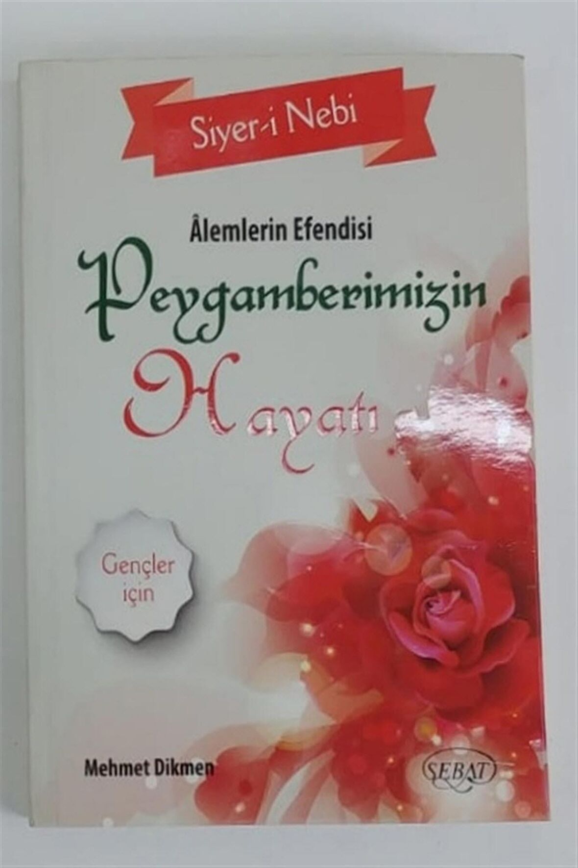 Alemlerin Efendisi Peygamberimizin Hayatı - Mehmet Dikmen