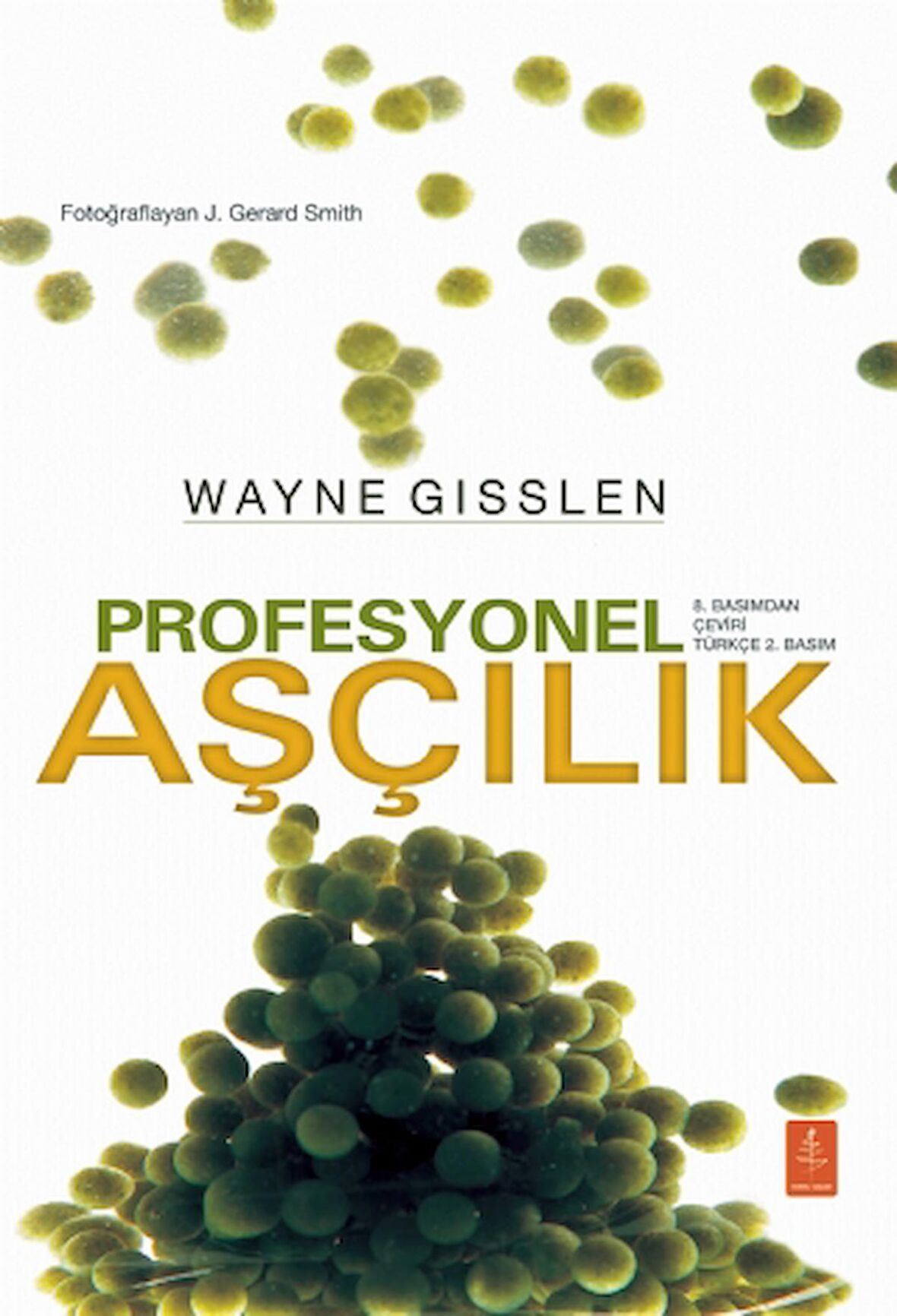 Profesyonel Aşçılık