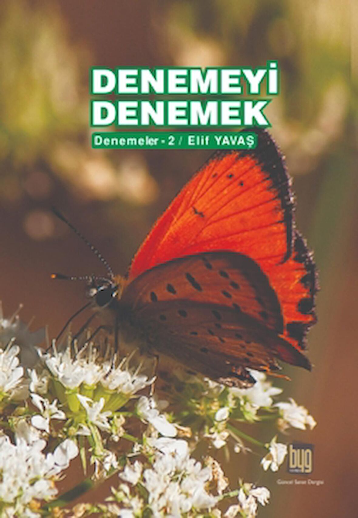 Denemeyi Denemek