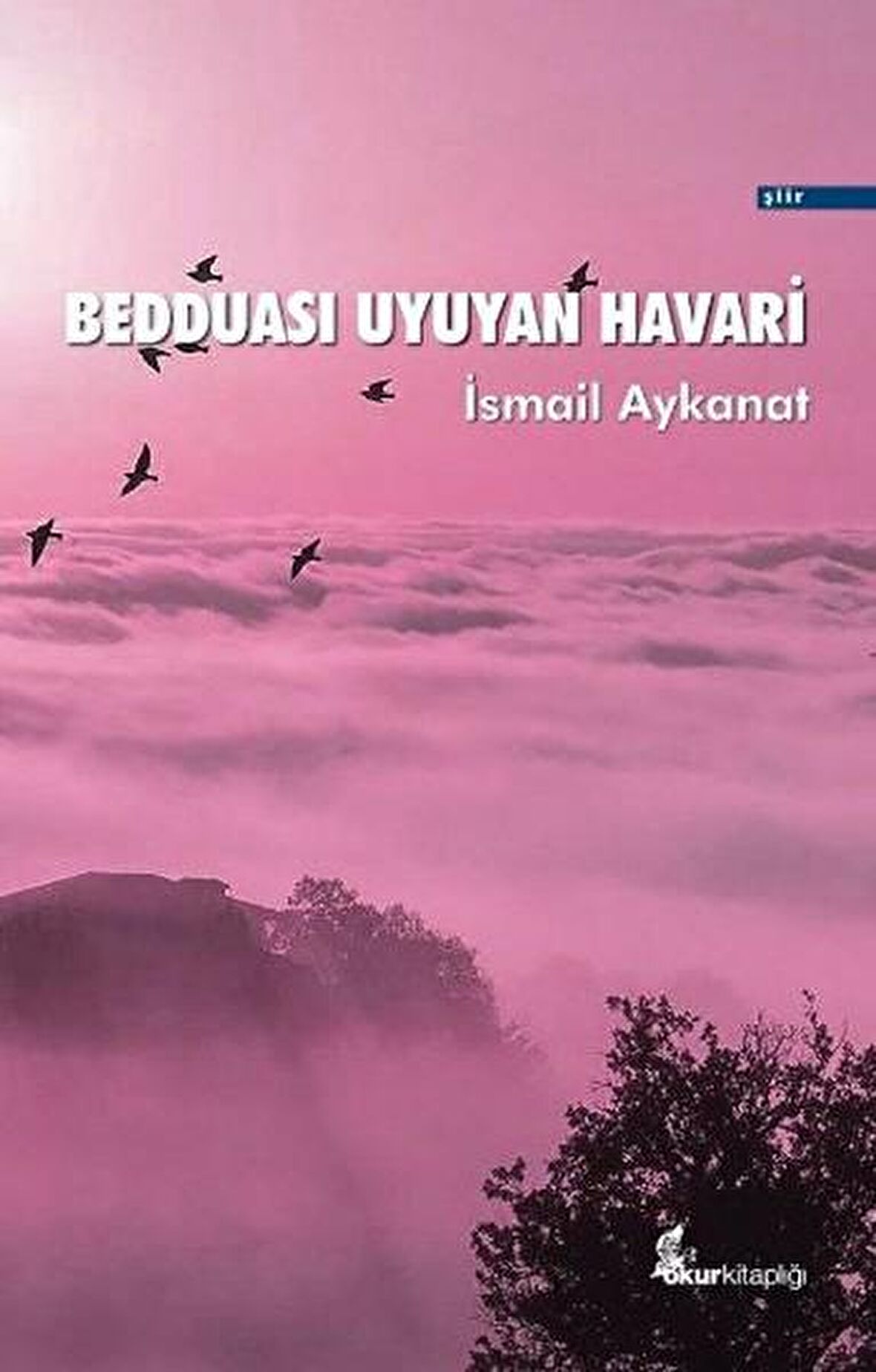 Bedduası Uyuyan Havari