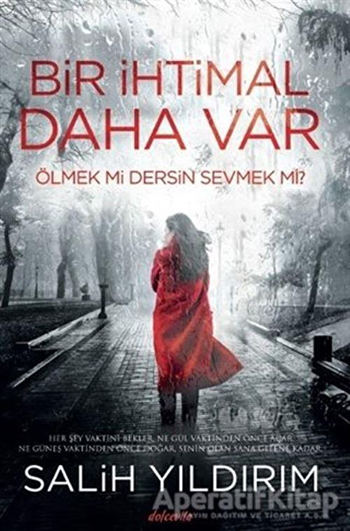 Bir İhtimal Daha Var