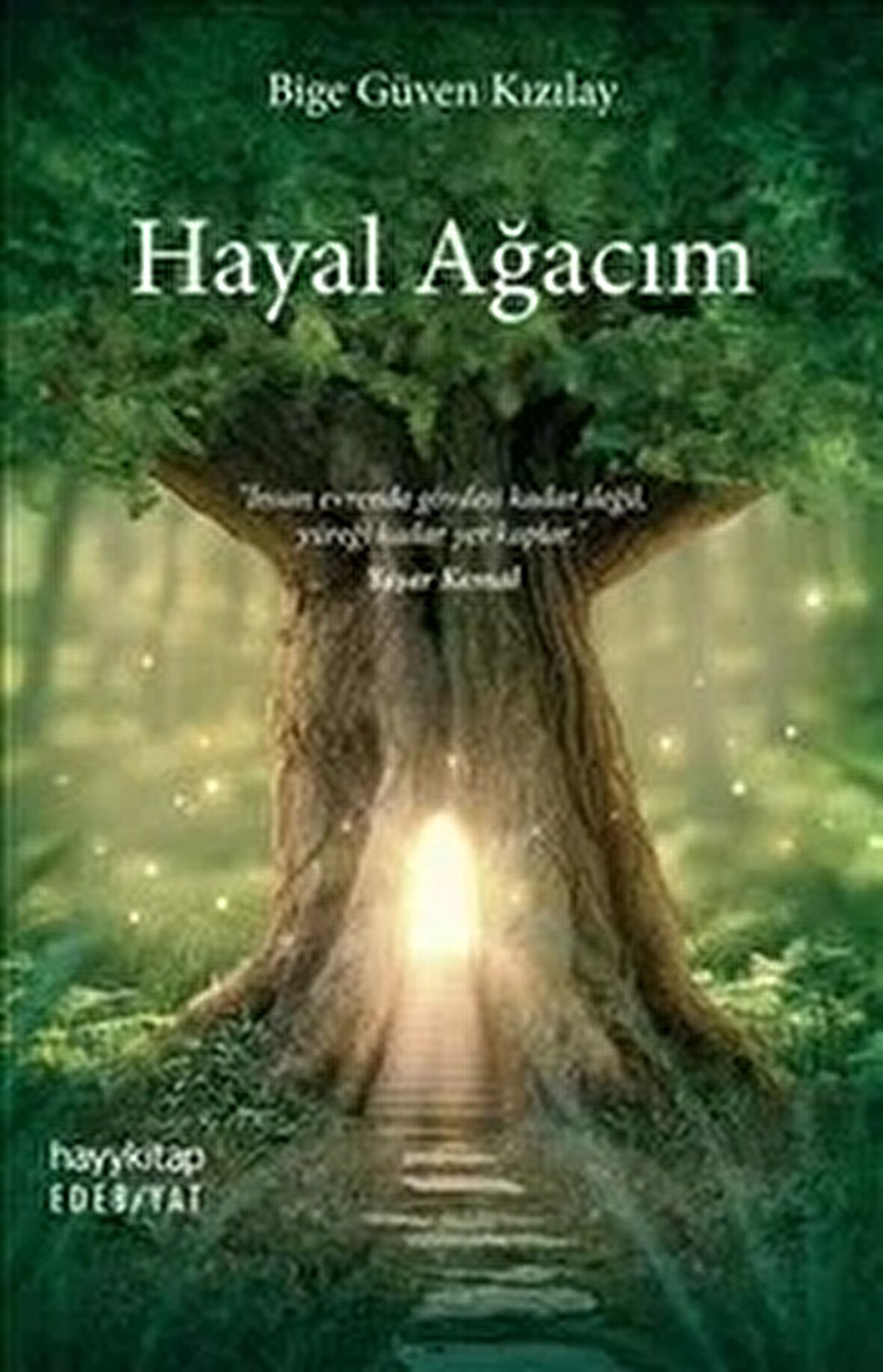 Hayal Ağacım