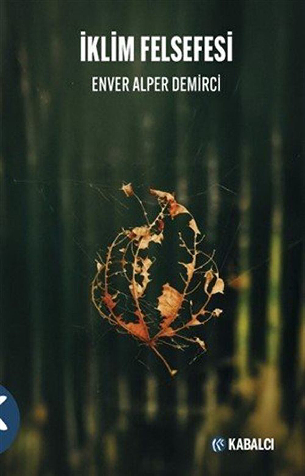 İklim Felsefesi / Enver Alper Demirci