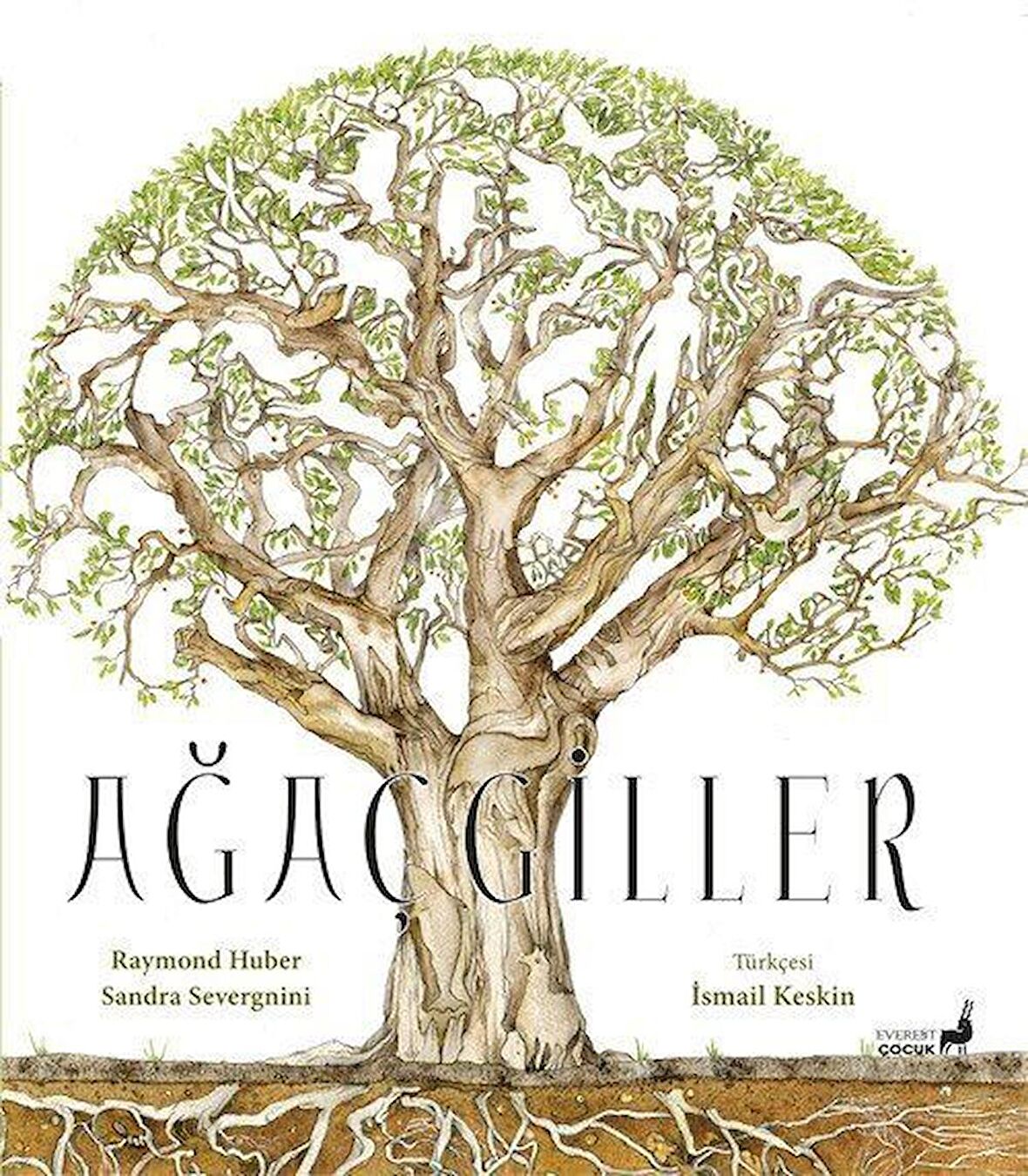 Ağaçgiller / Raymond Huber