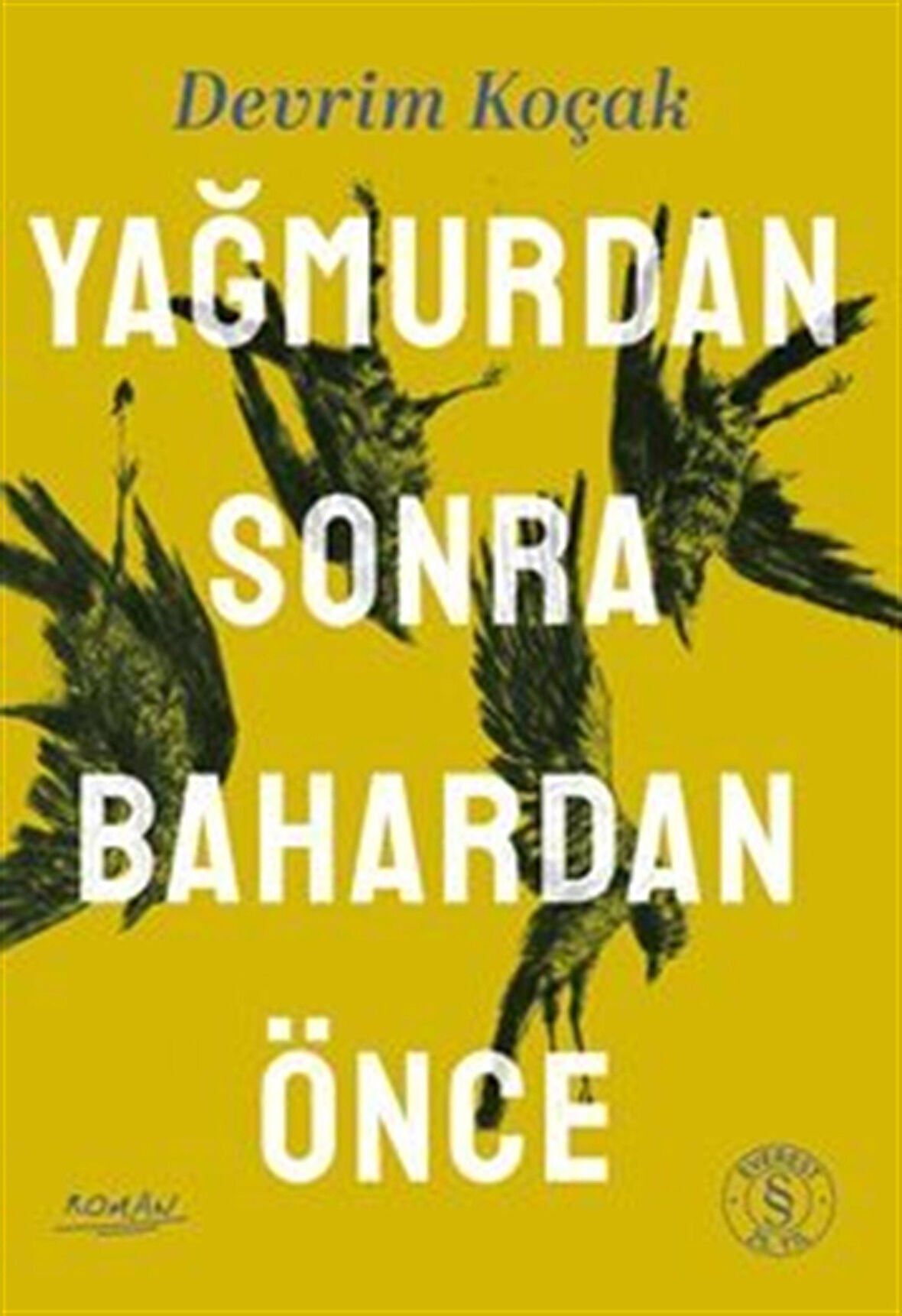 Yağmurdan Sonra Bahardan Önce / Devrim Koçak