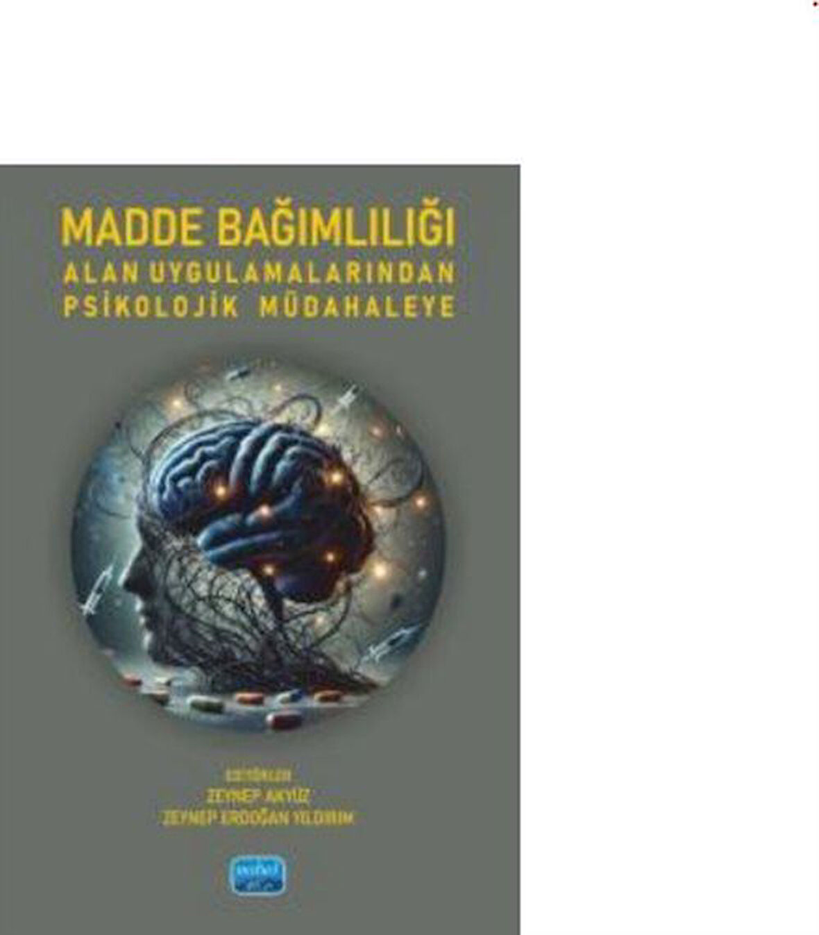Madde Bağımlılığı / Alan Uygulamalarından Psikolojik Müdahaleye / Kolektif