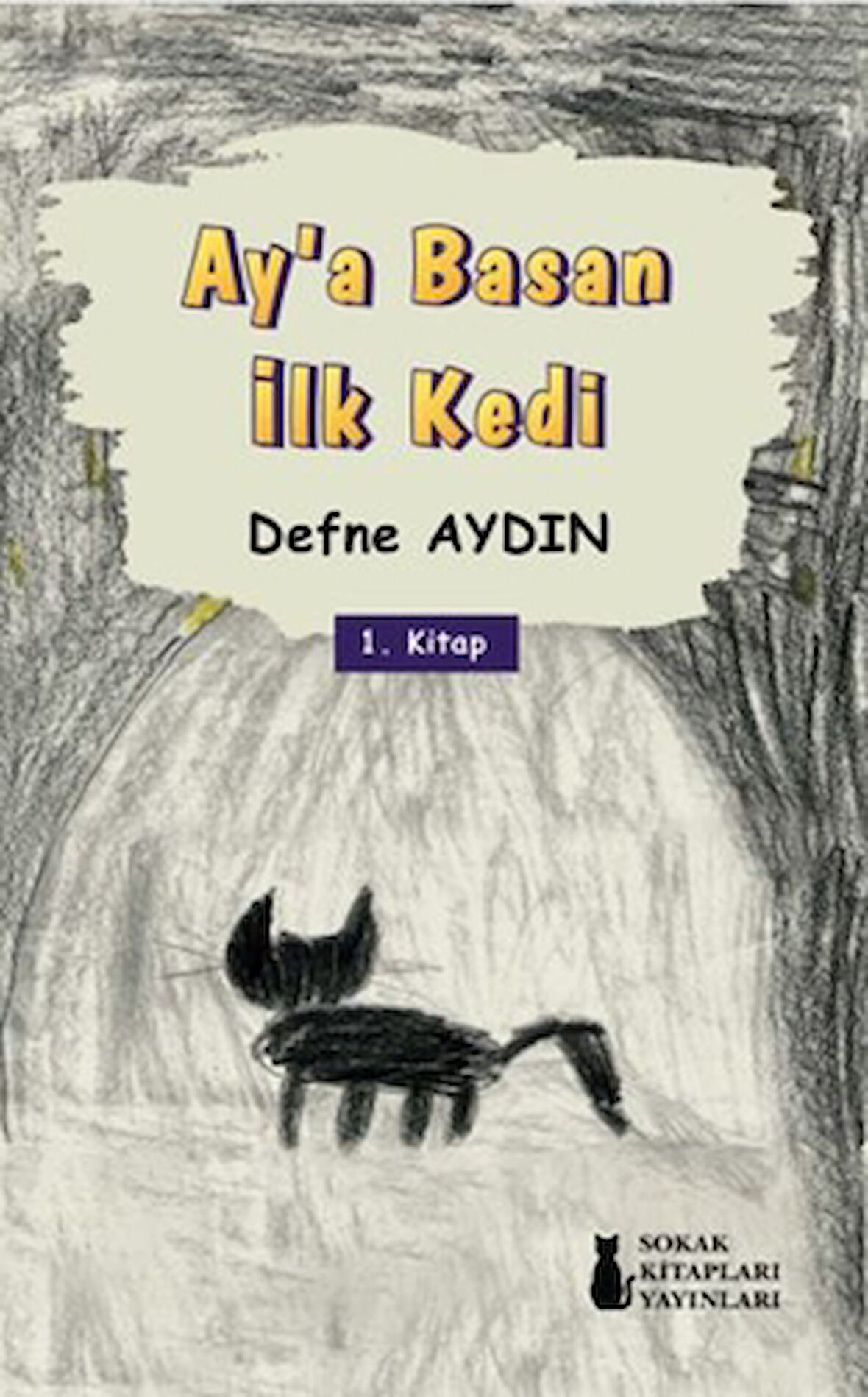 Ay’a Basan İlk Kedi
